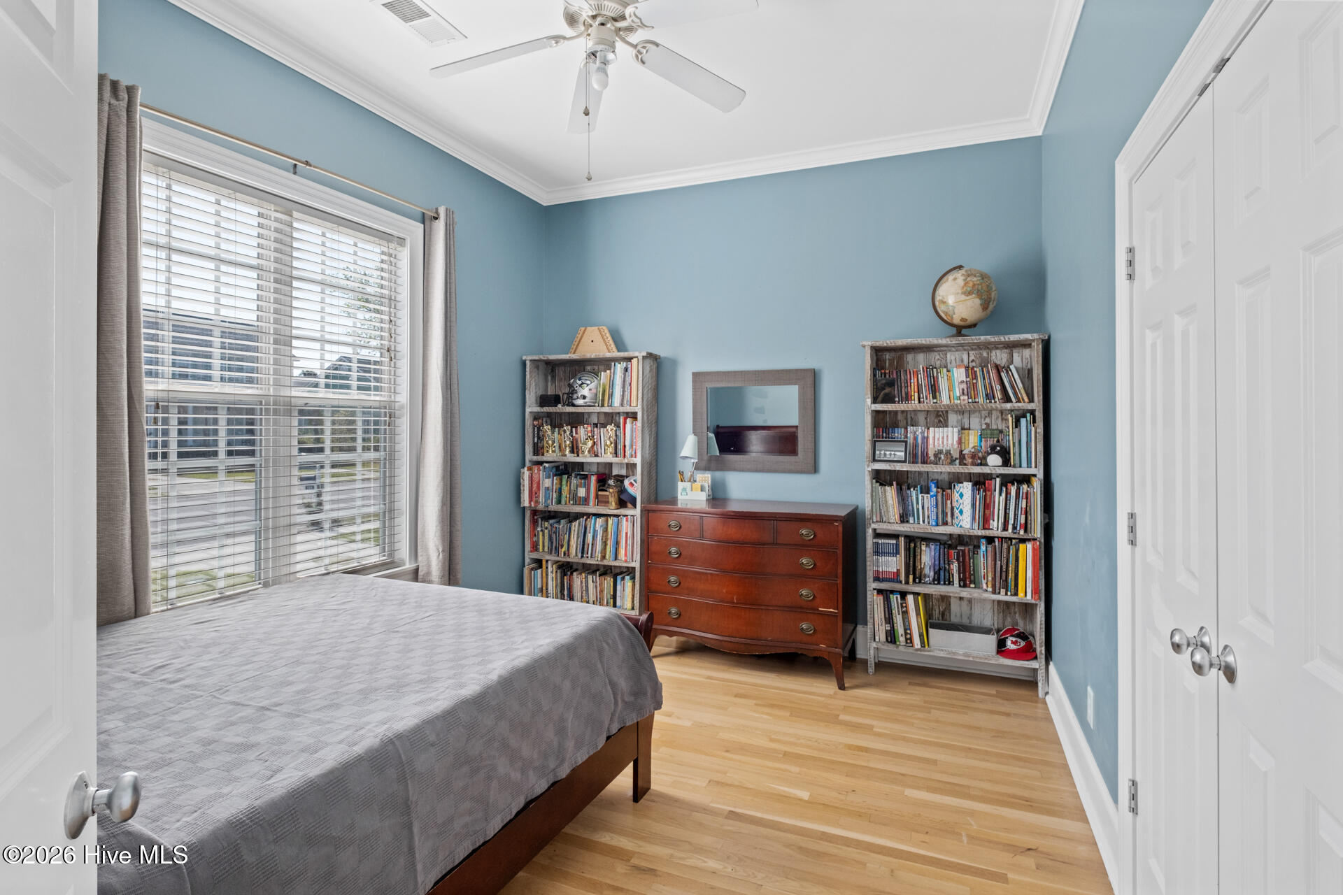 100564524 | Photo 33