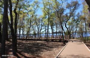 100570610 | Photo 14