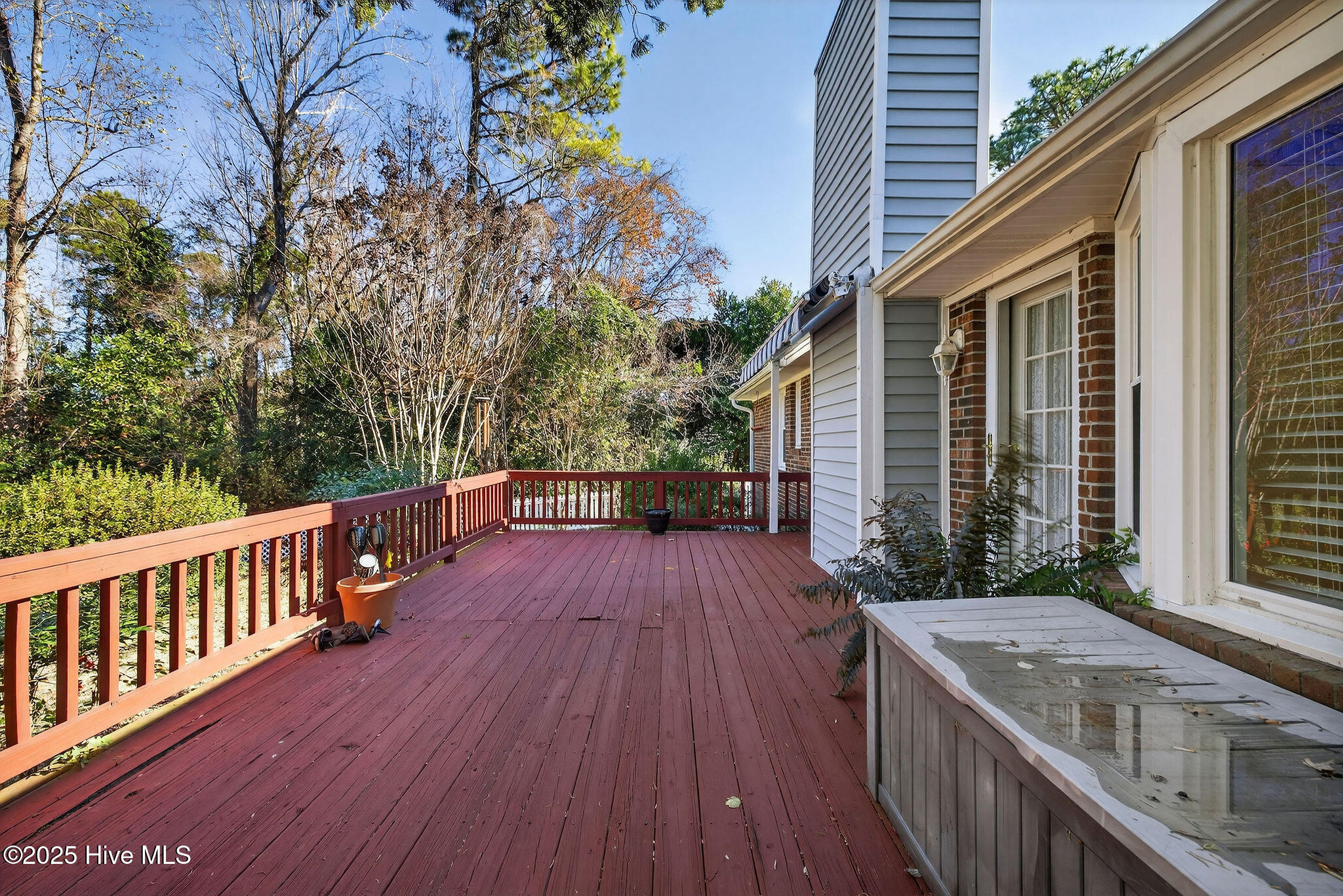 100545478 | Photo 37