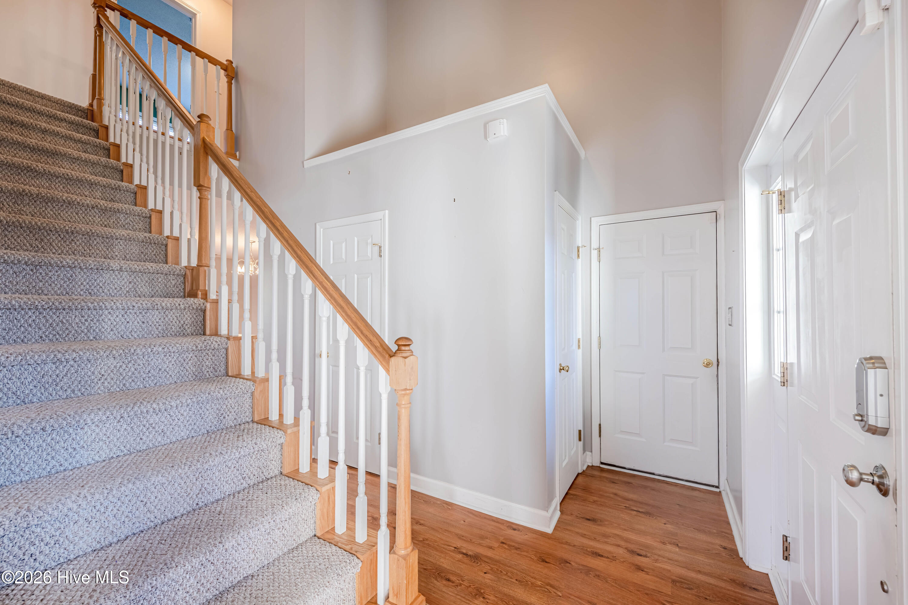 100536665 | Photo 22