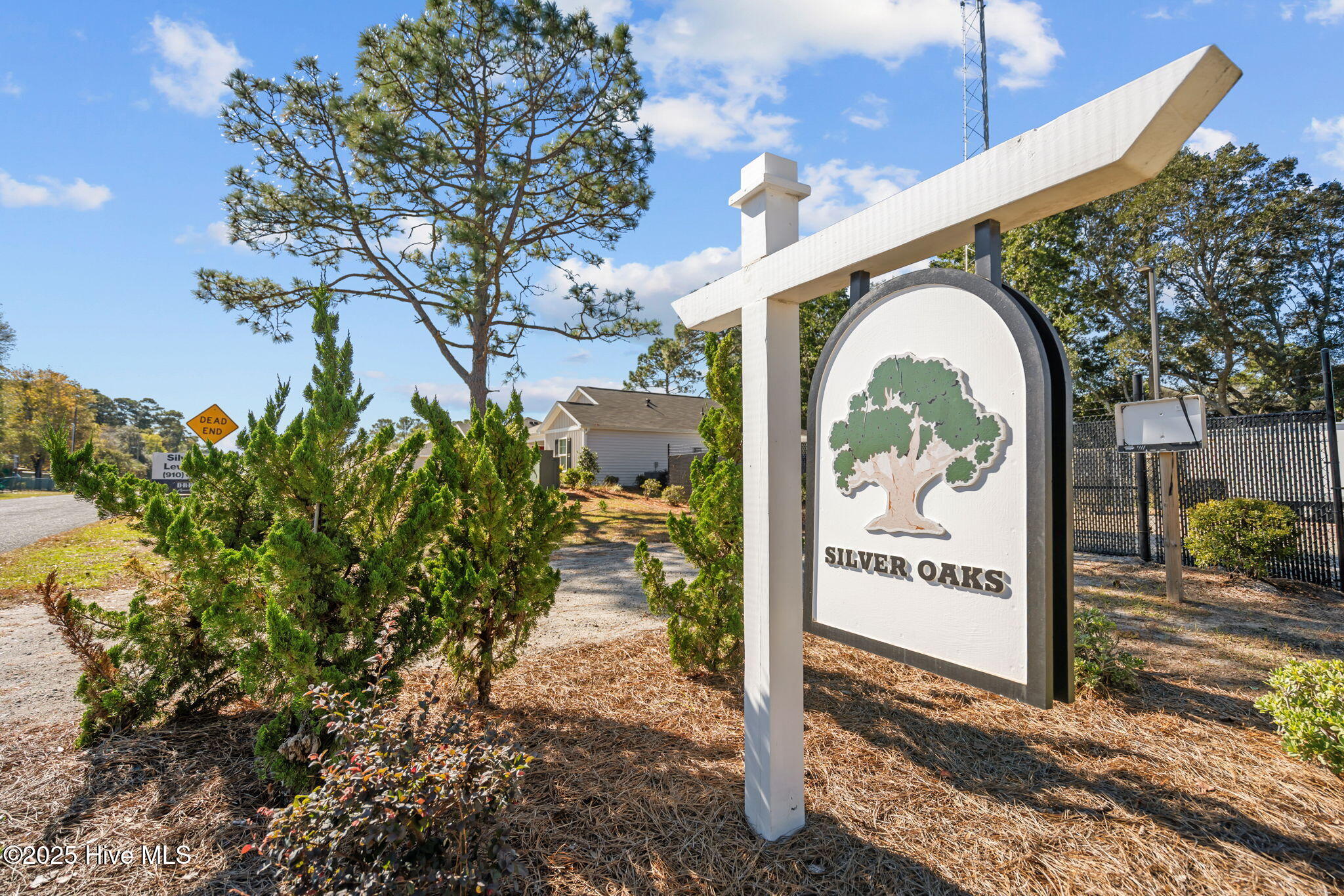 1724 Whispering Pine Street SW, Ocean Isle Beach, NC 28469 – photo 2: 24-web-or-mls-DSC05539