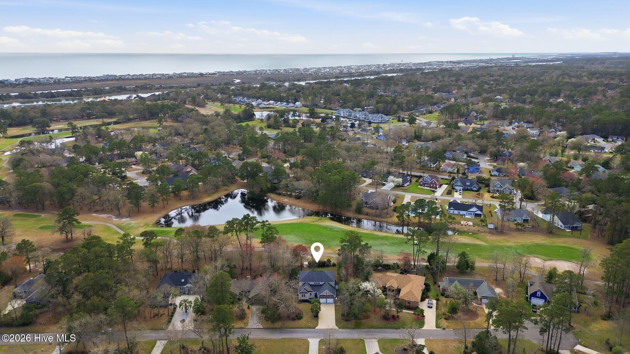 100560935 | Photo 101