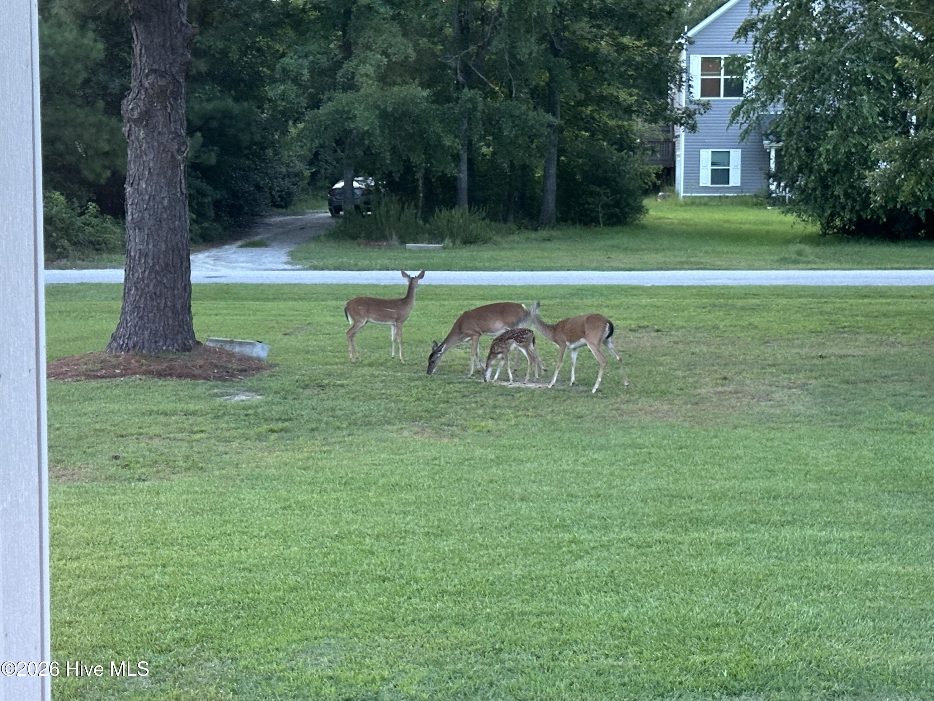 100557907 | Photo 31