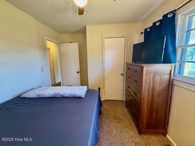 100544105 | Photo 26