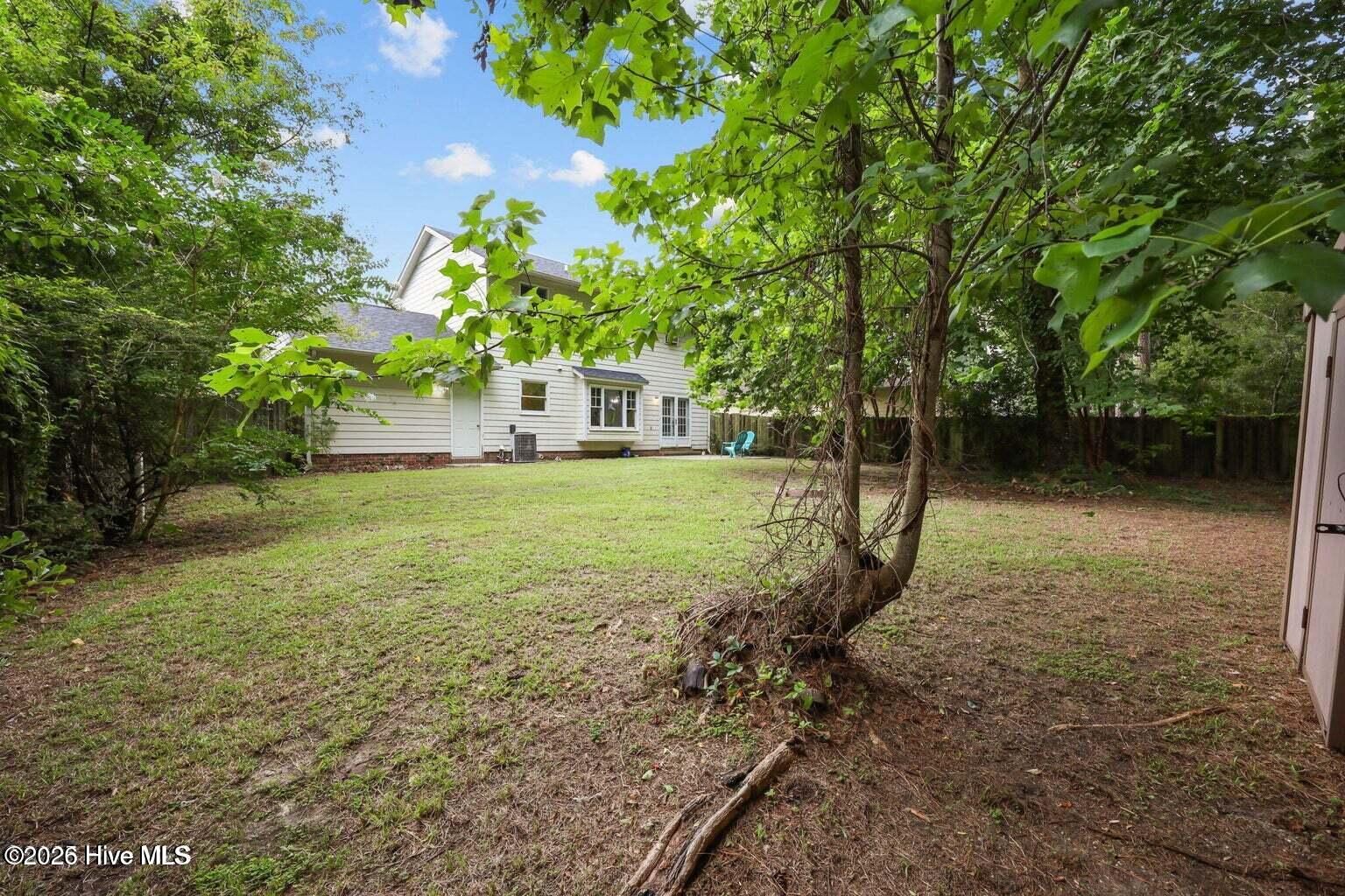 100559152 | Photo 17