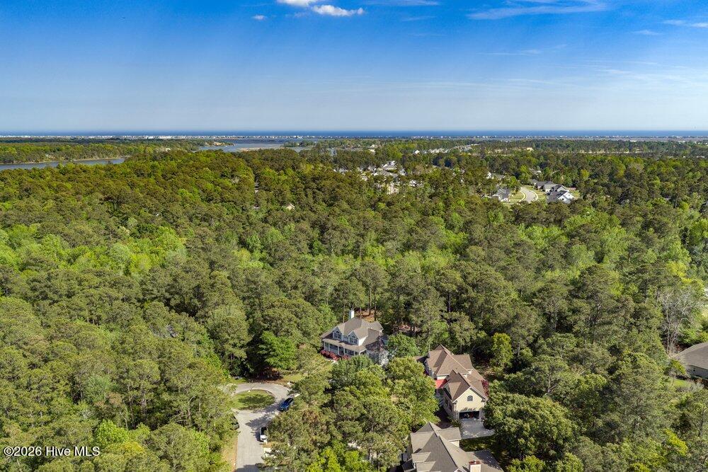 100568961 | Photo 94