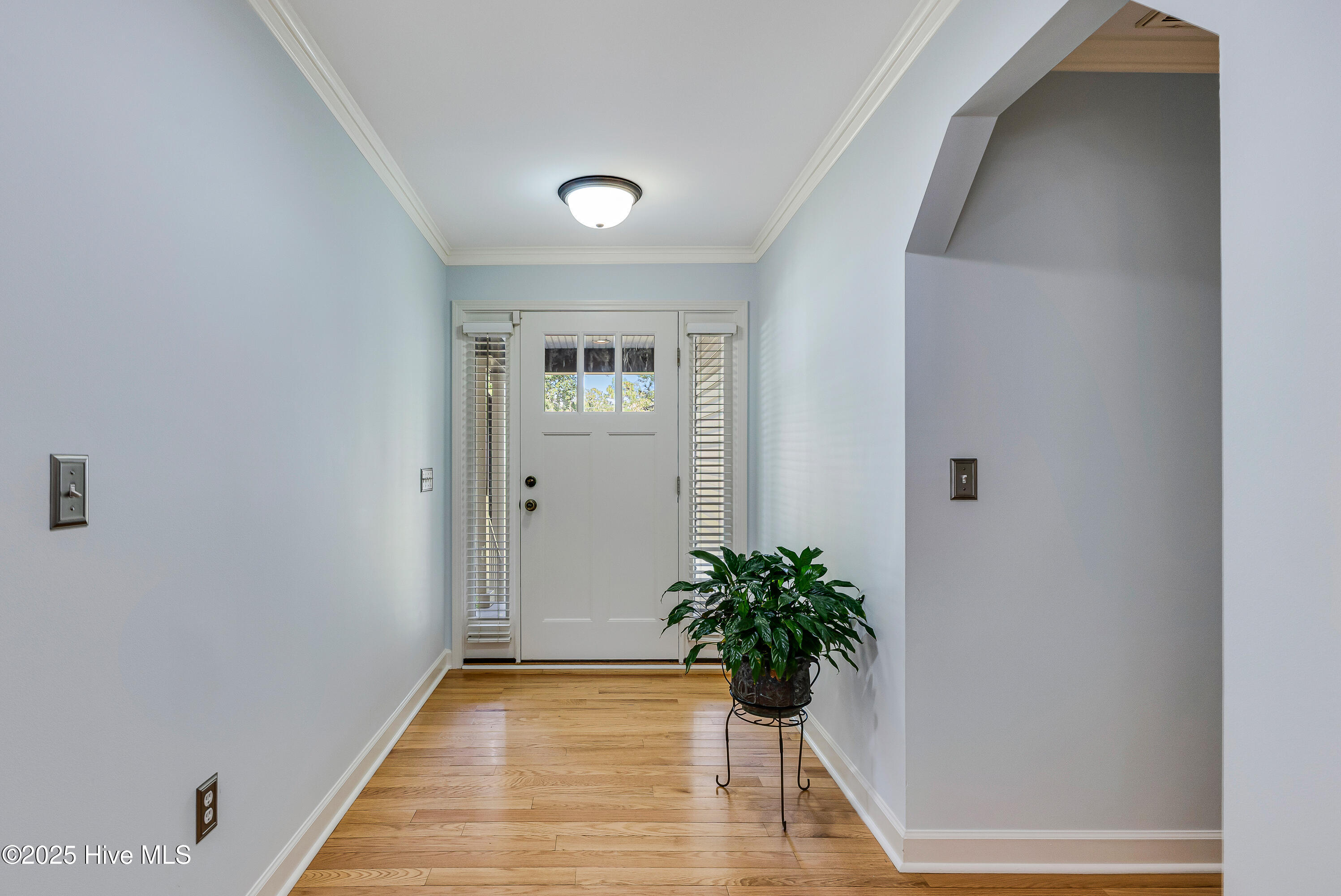 100538127 | Photo 11