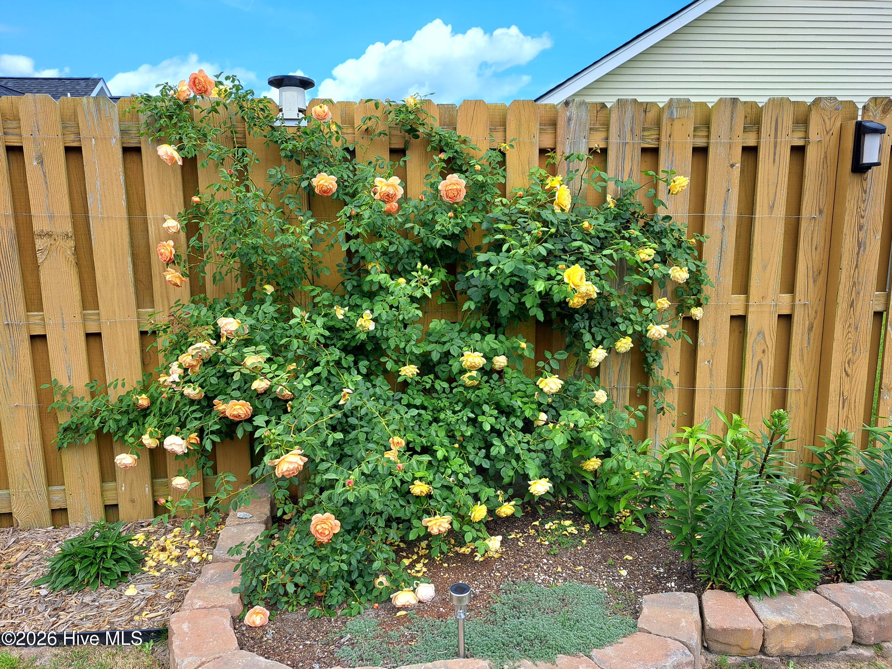 100551829 | Photo 52