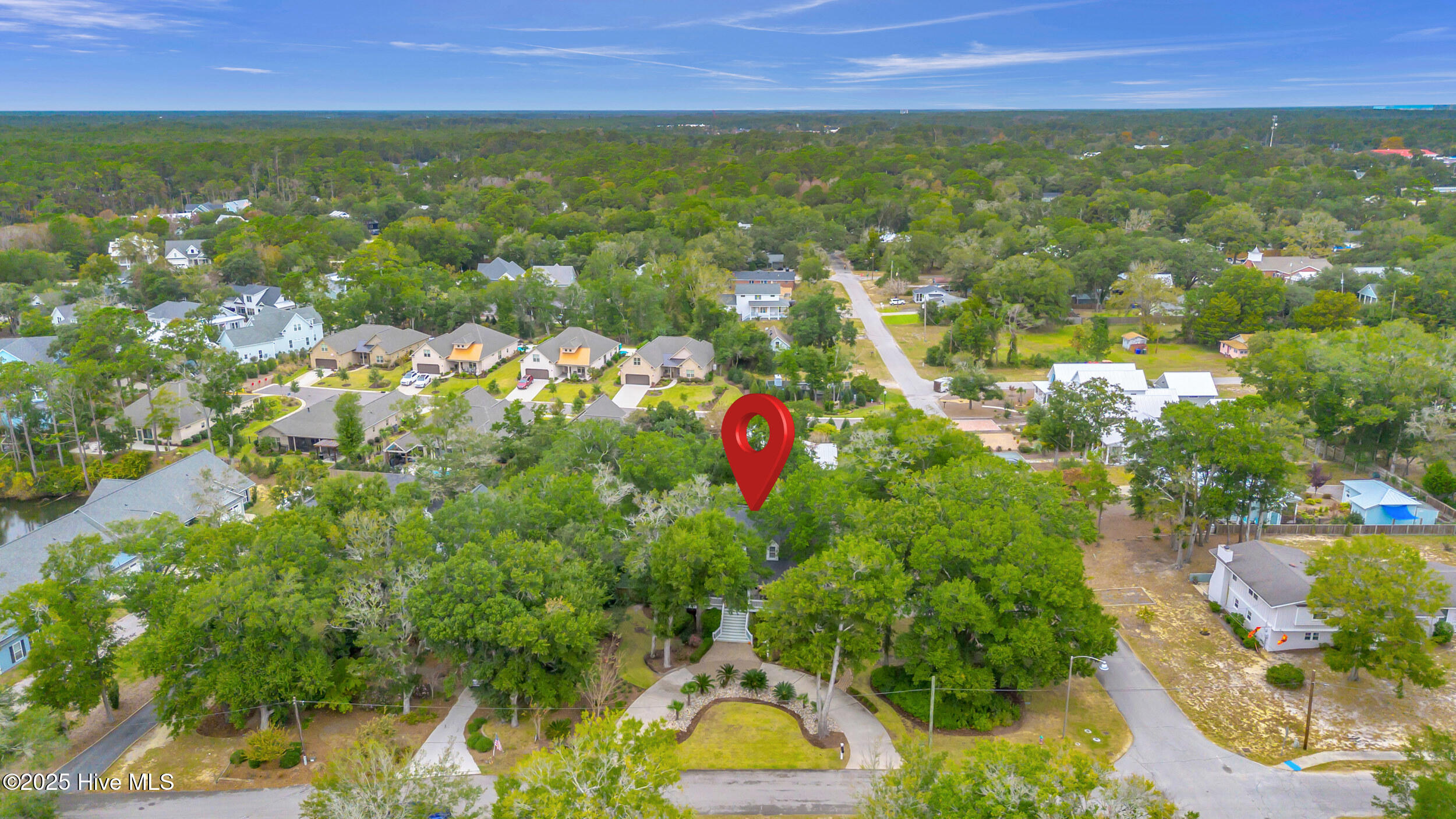 100537749 | Photo 56