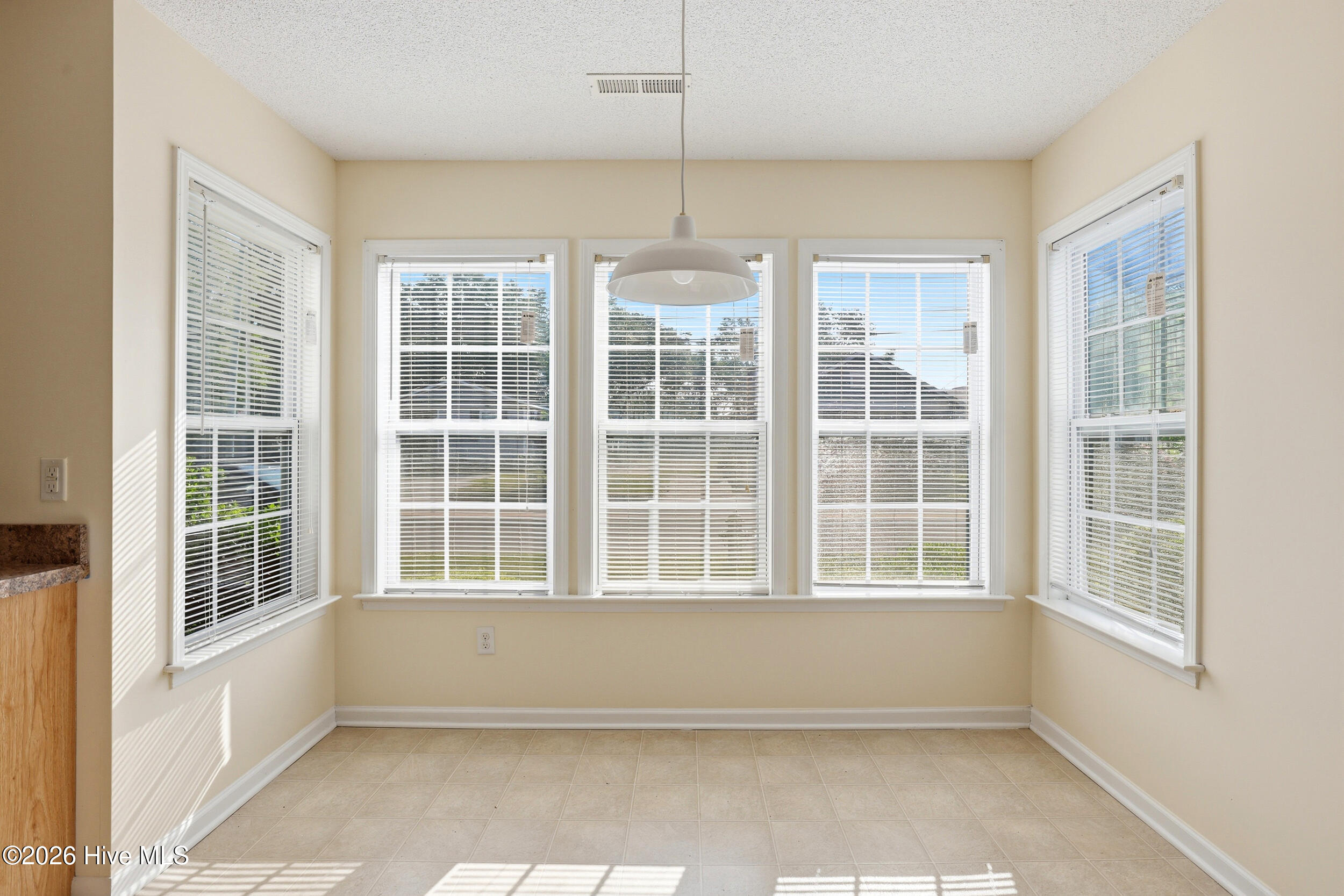 100568655 | Photo 11