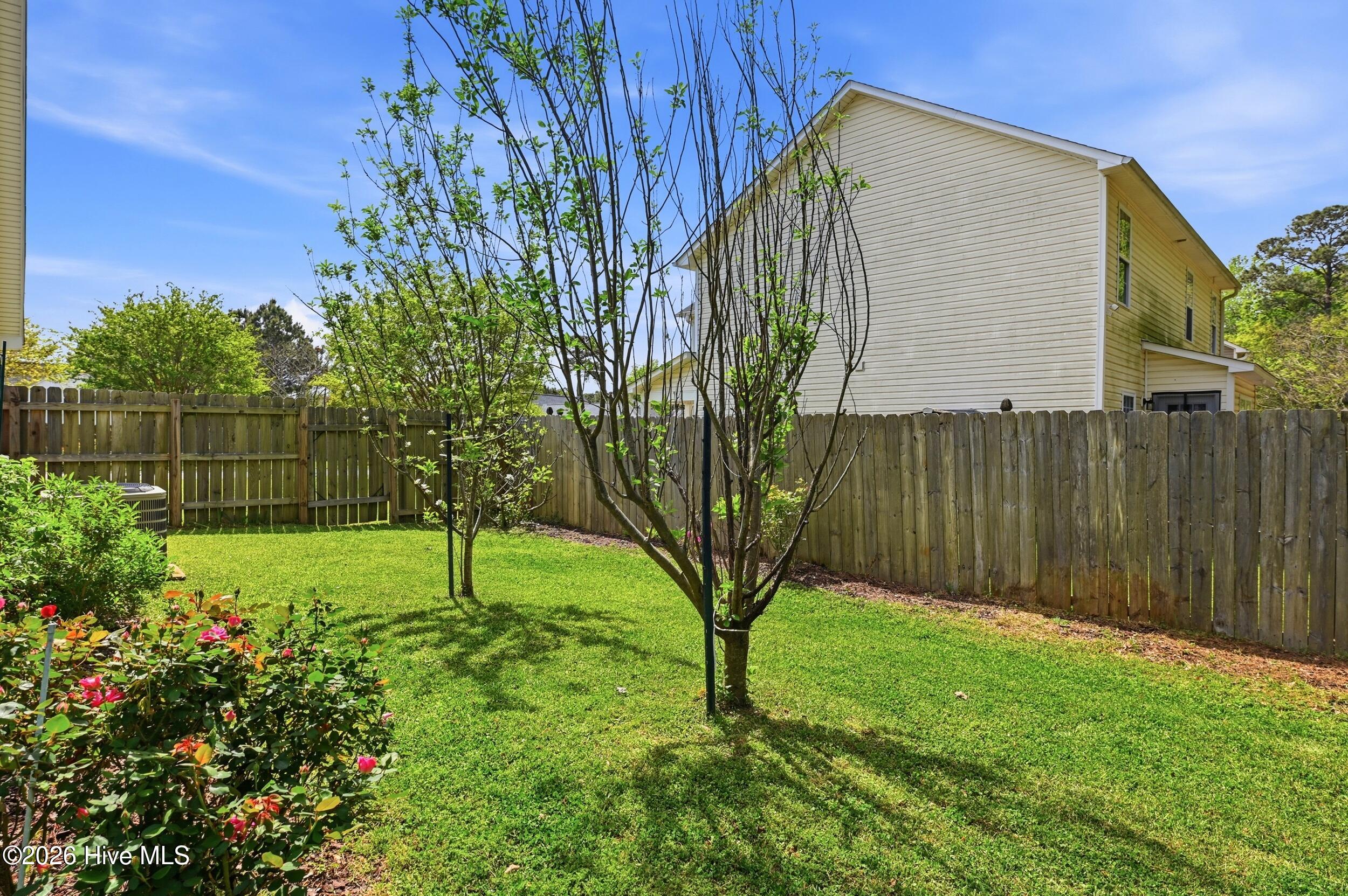 100566143 | Photo 40