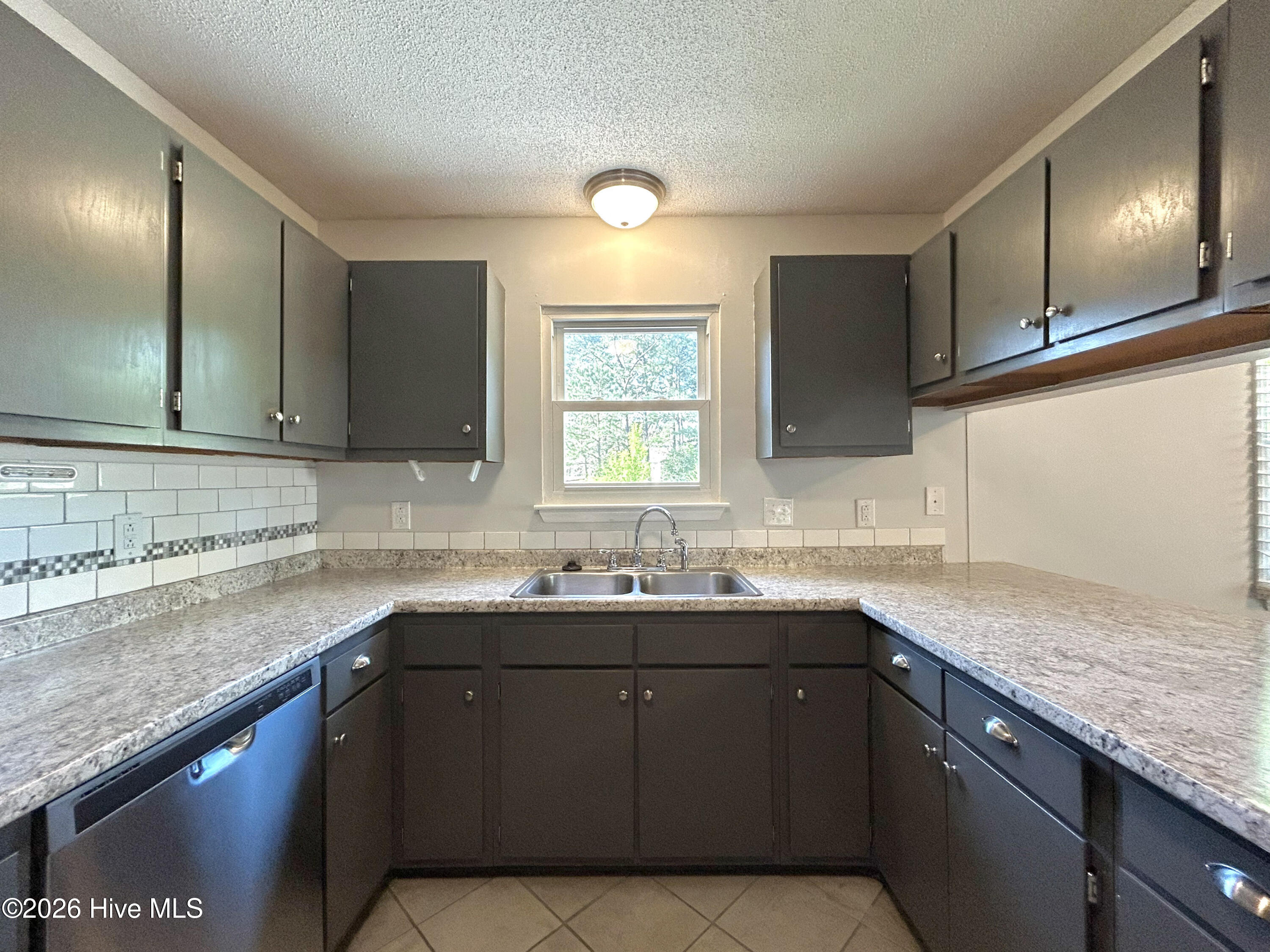 100563583 | Photo 16