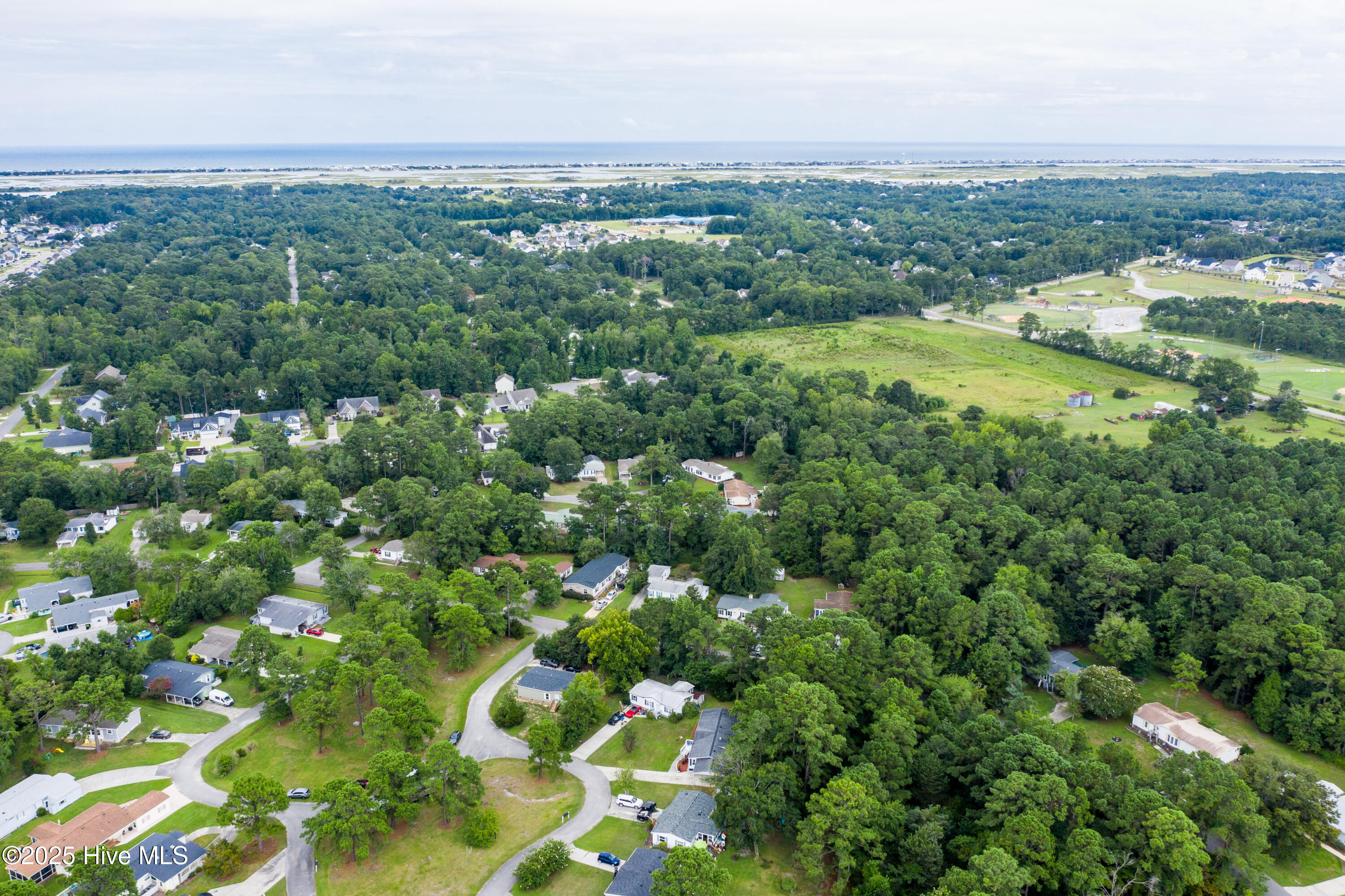 100523647 | Photo 29