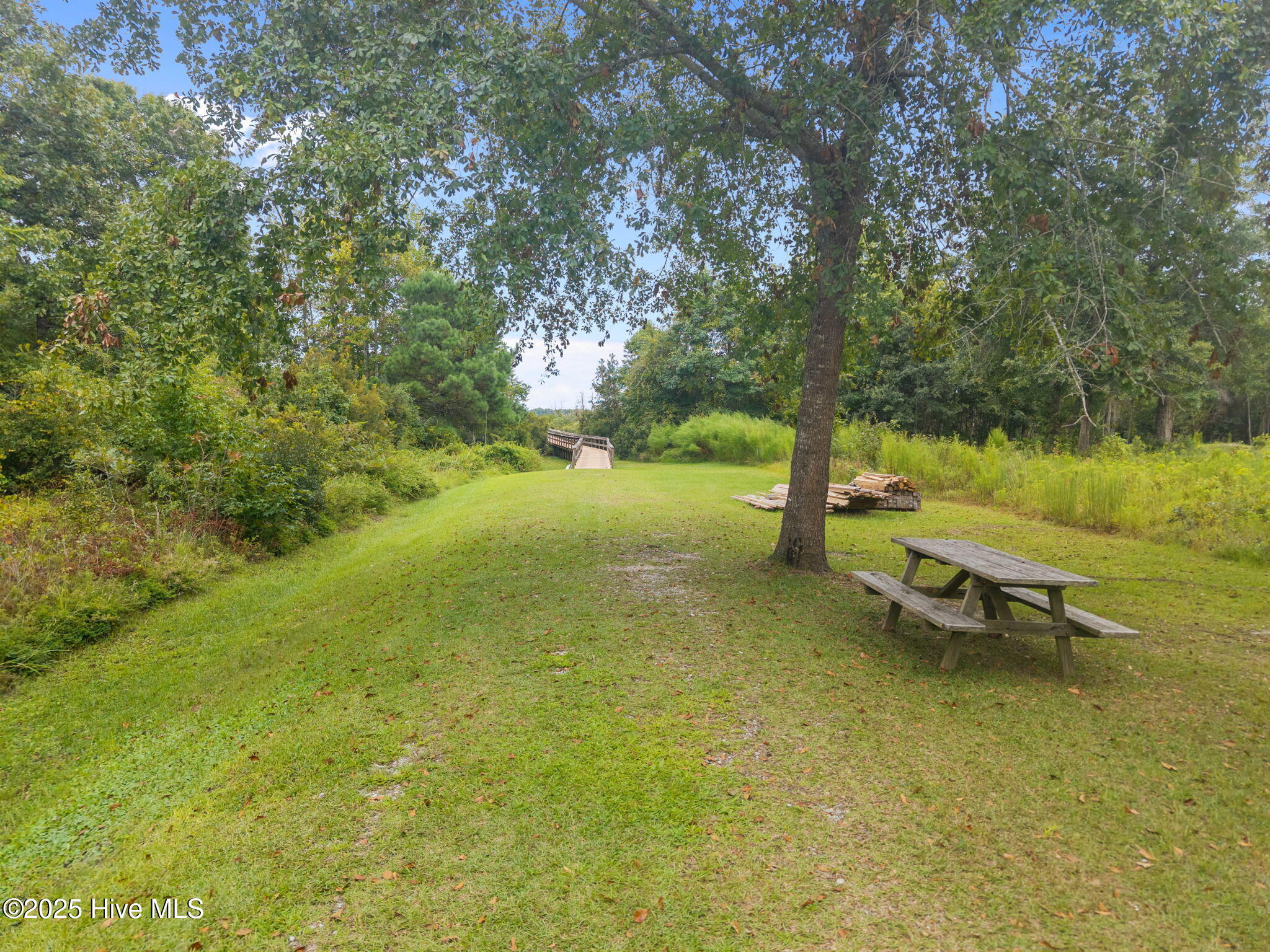 100530646 | Photo 60