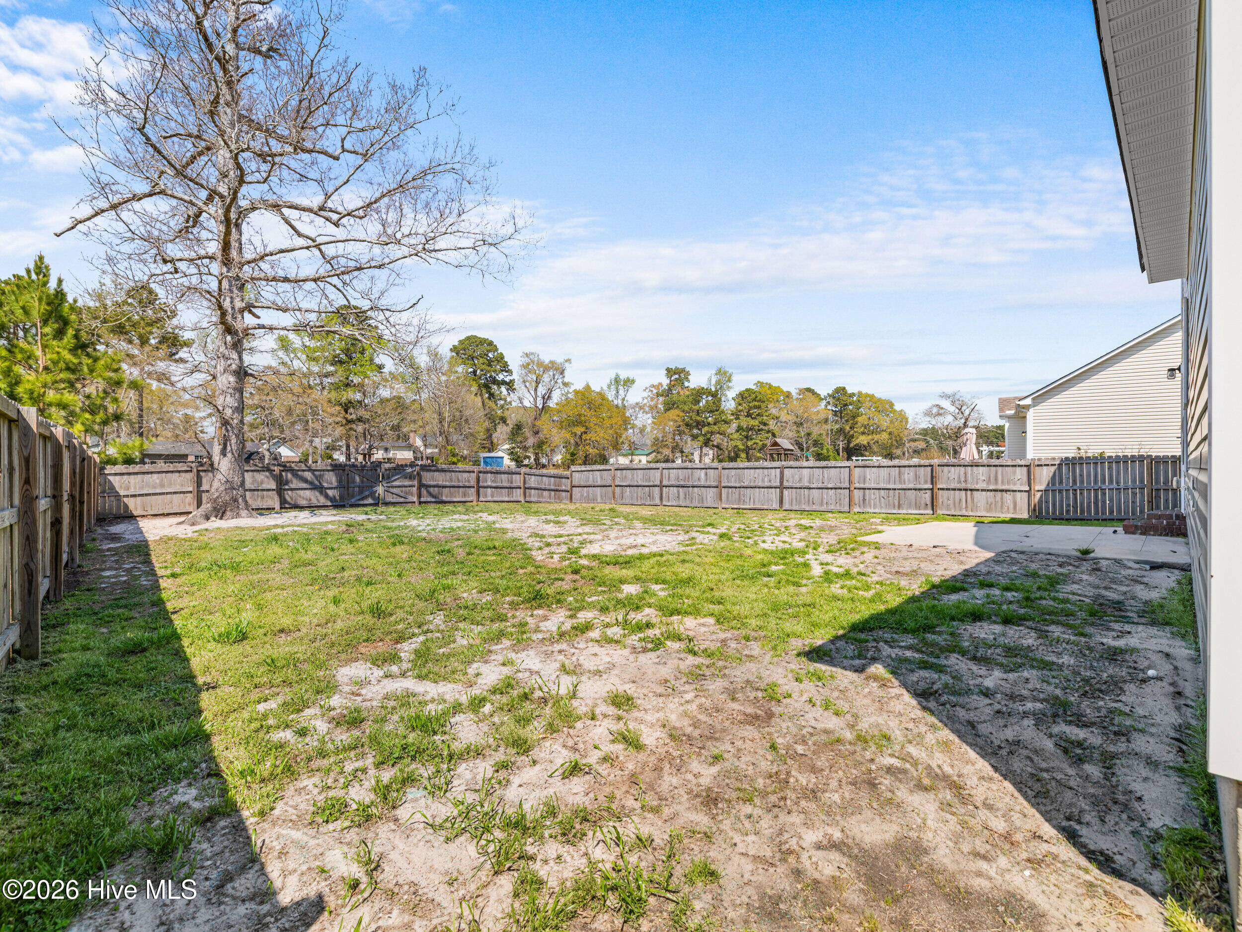 100565211 | Photo 10