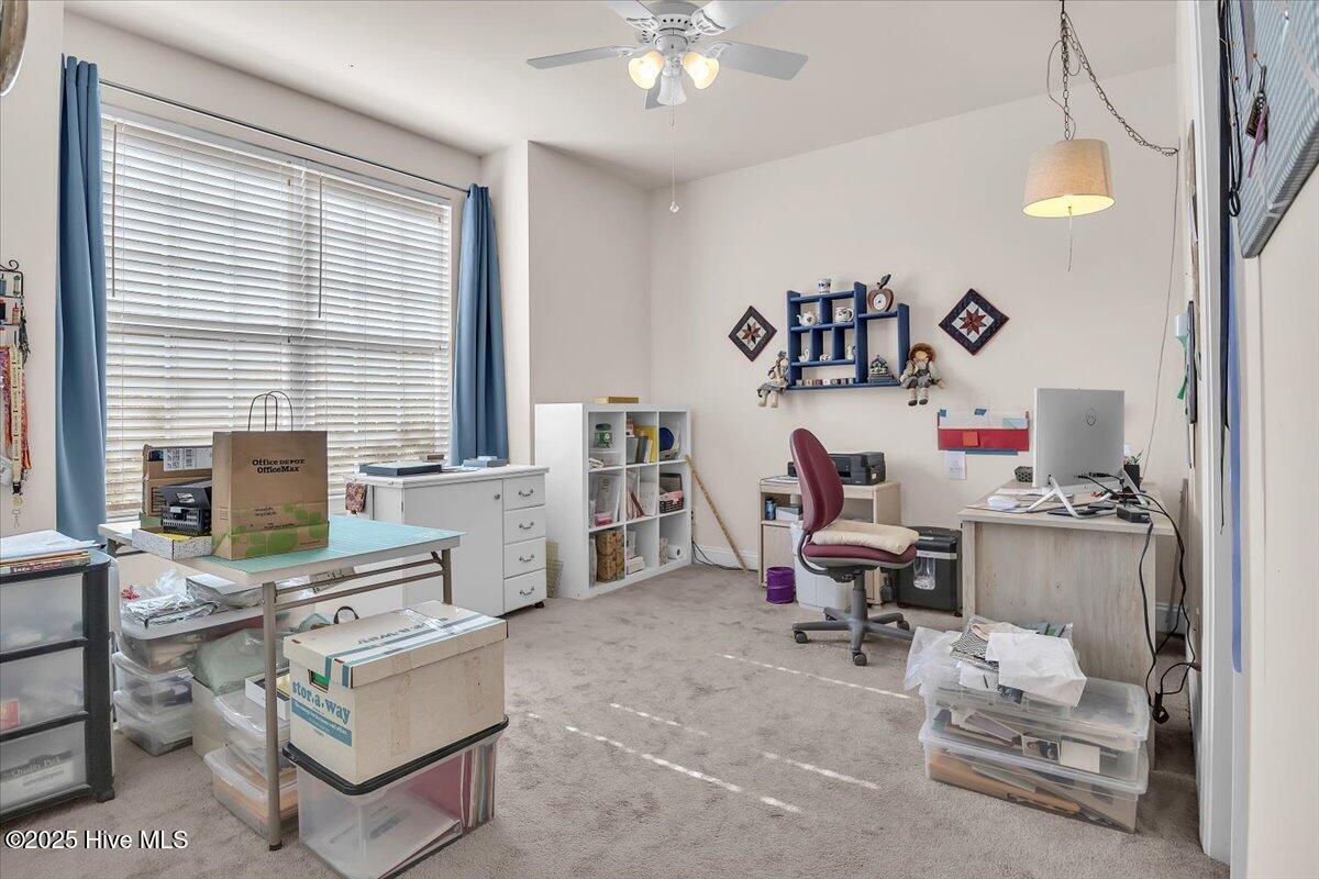 100541997 | Photo 22