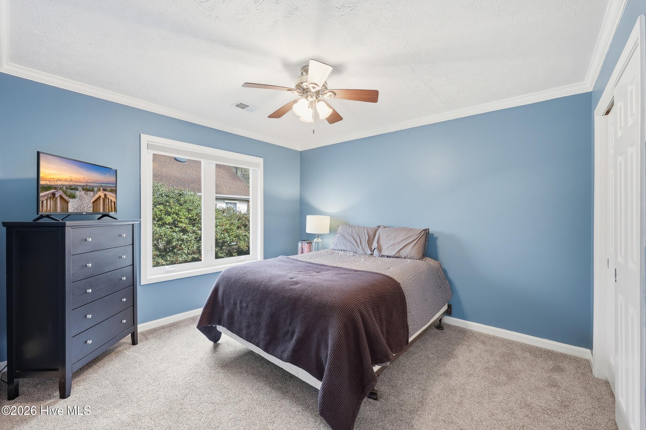 100565062 | Photo 25