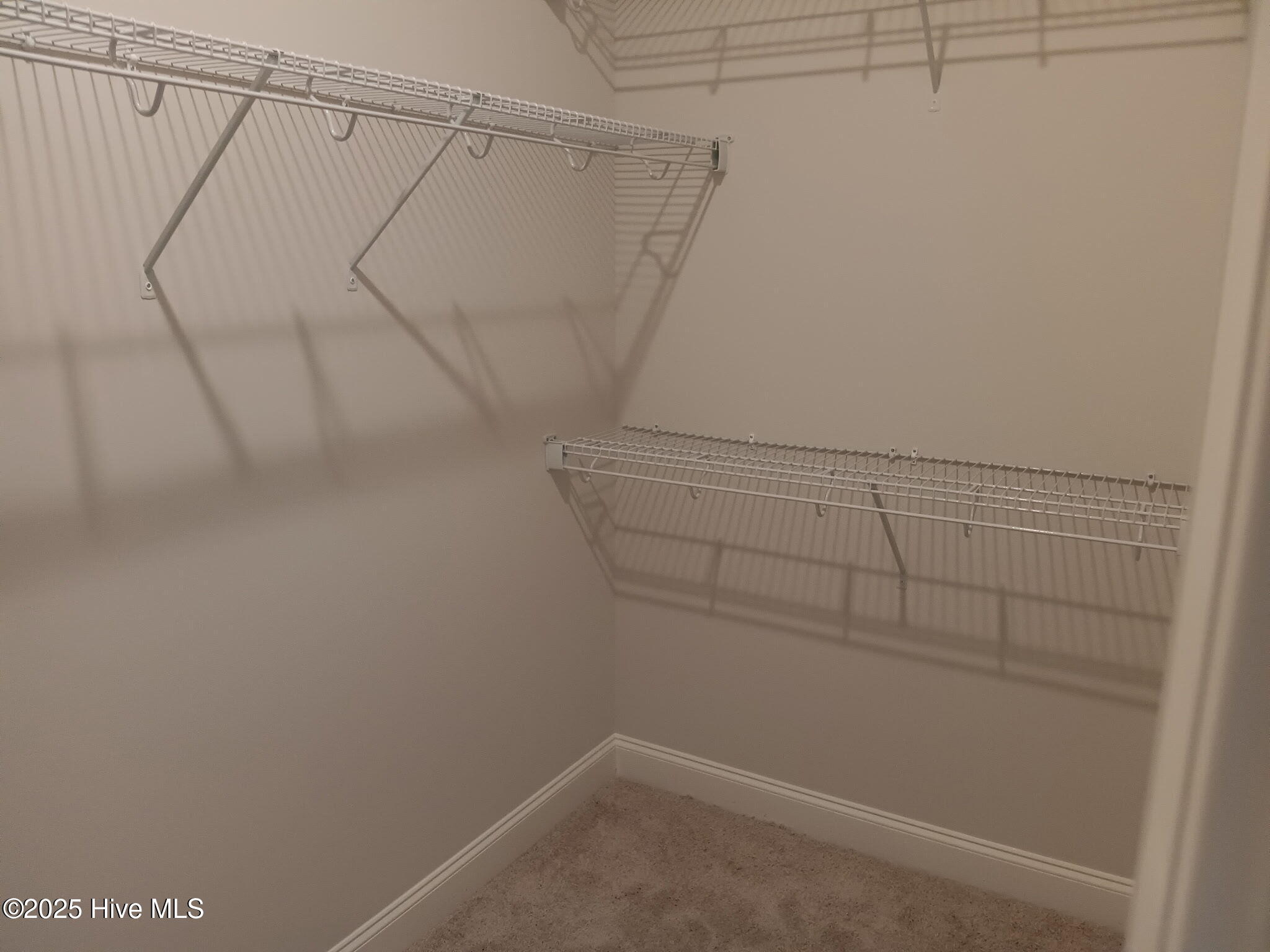 100533340 | Photo 13