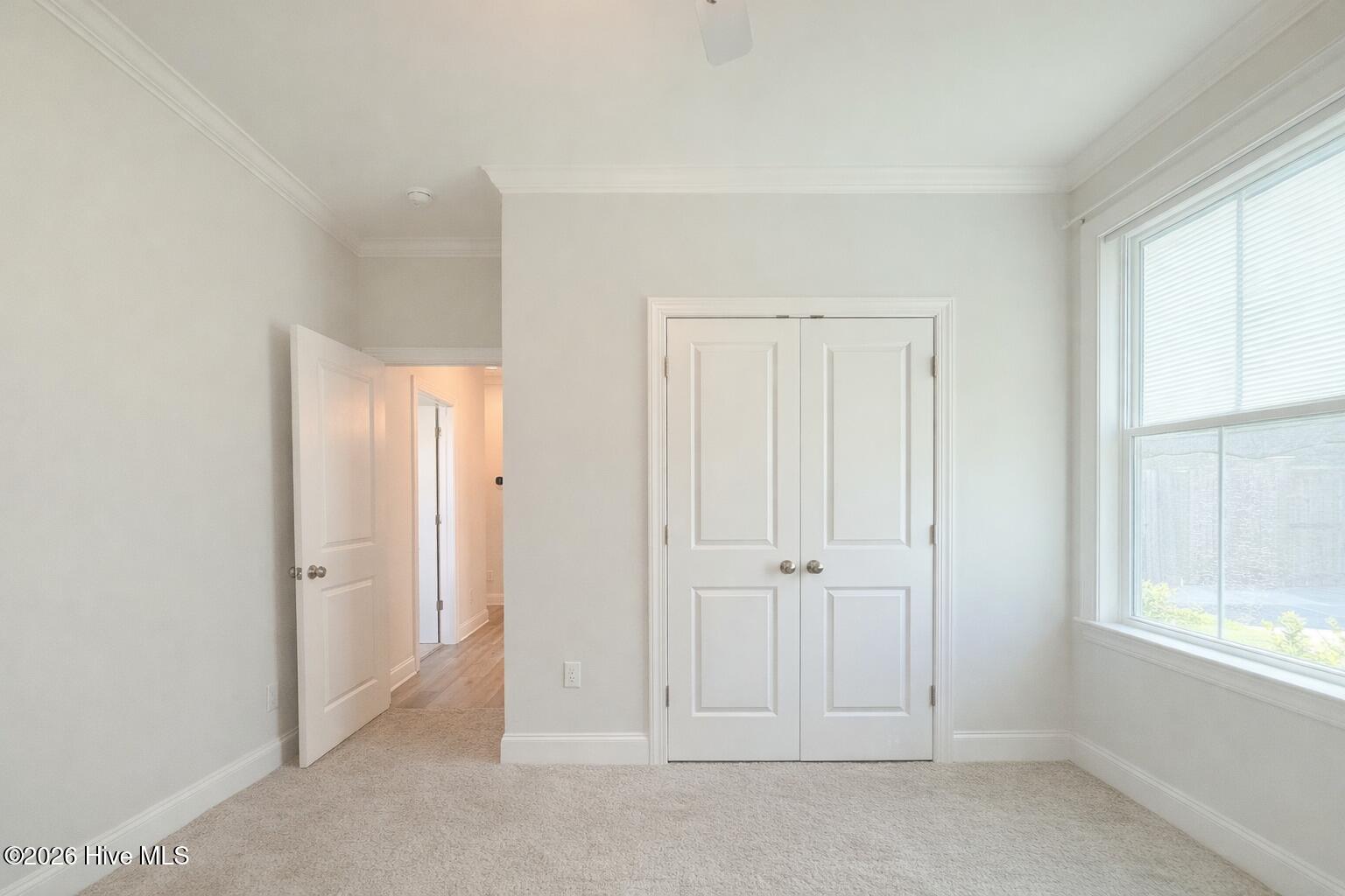 100567915 | Photo 61