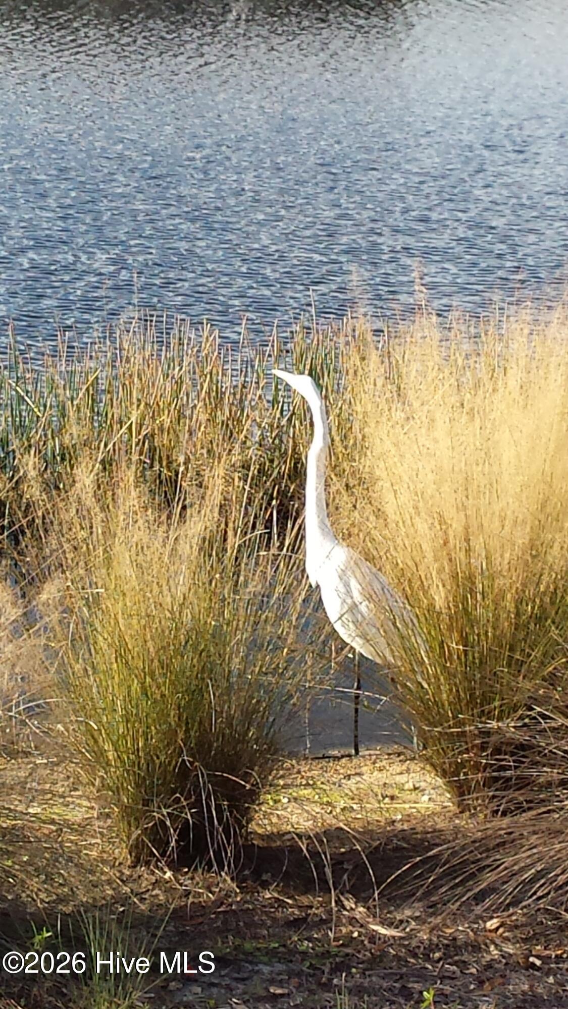 100564948 | Photo 69