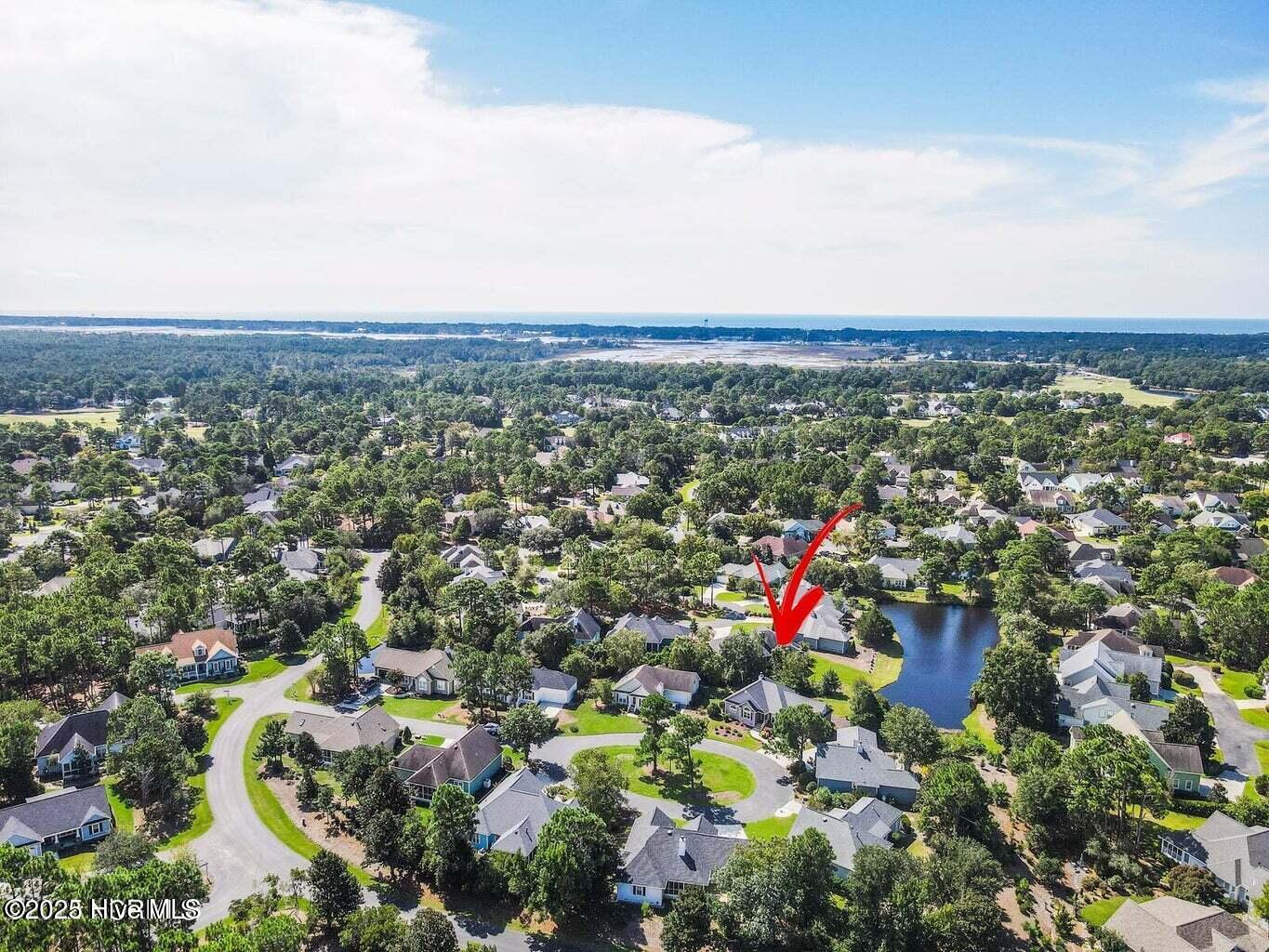 100561885 | Photo 98