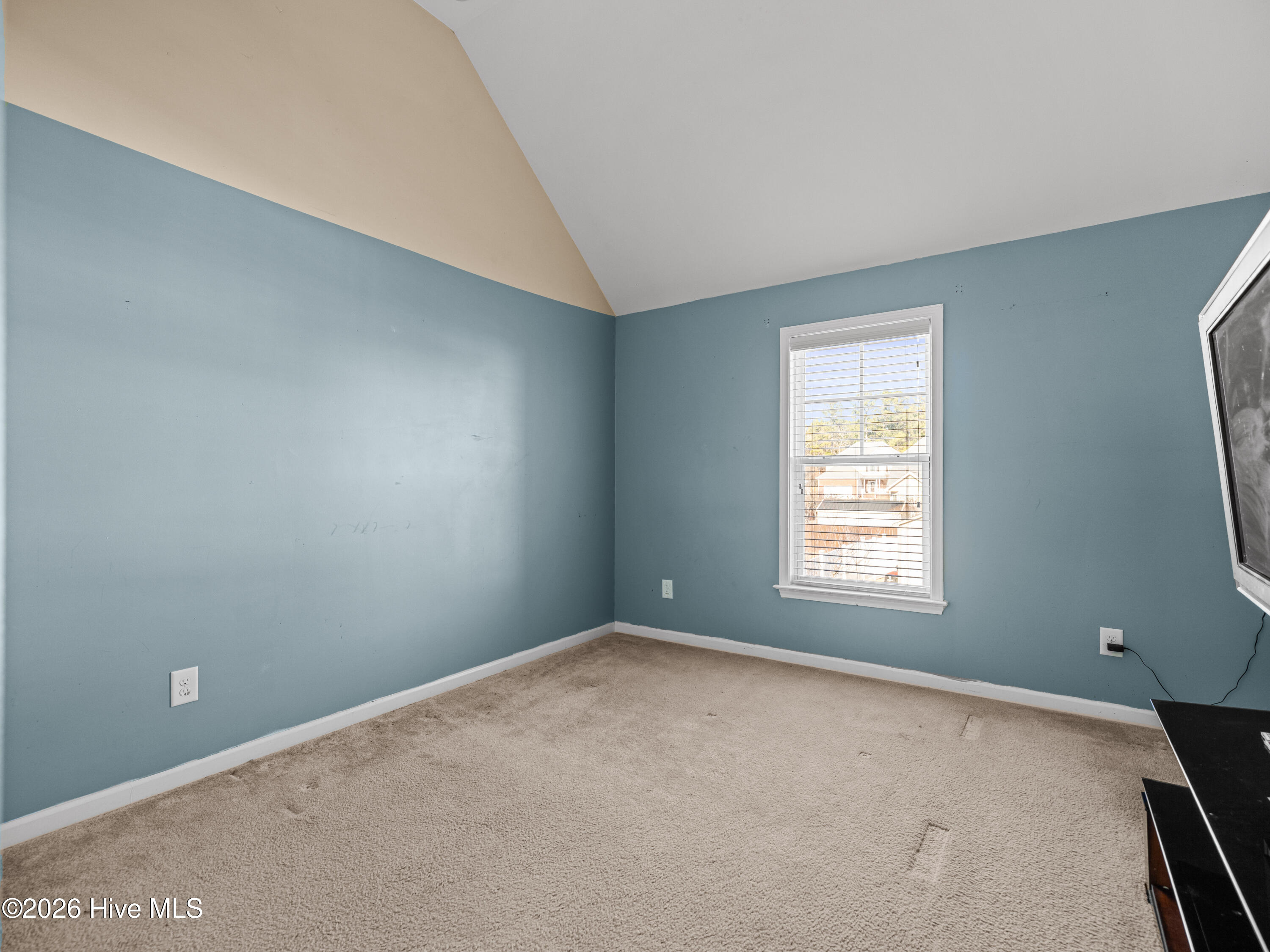 100553389 | Photo 45