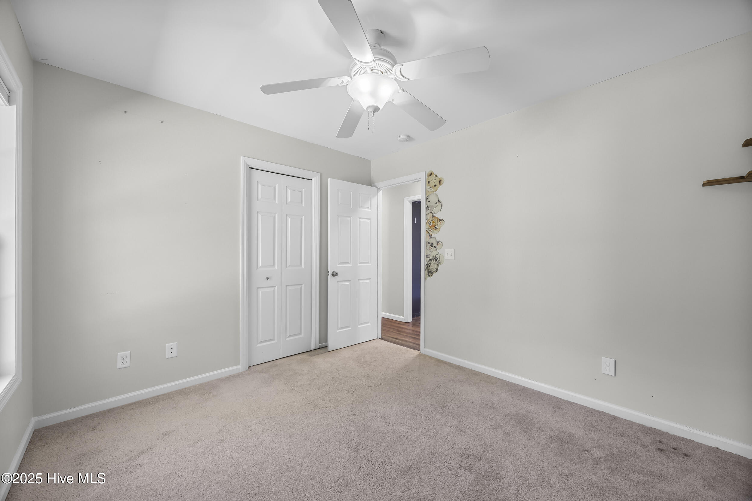 100533405 | Photo 25