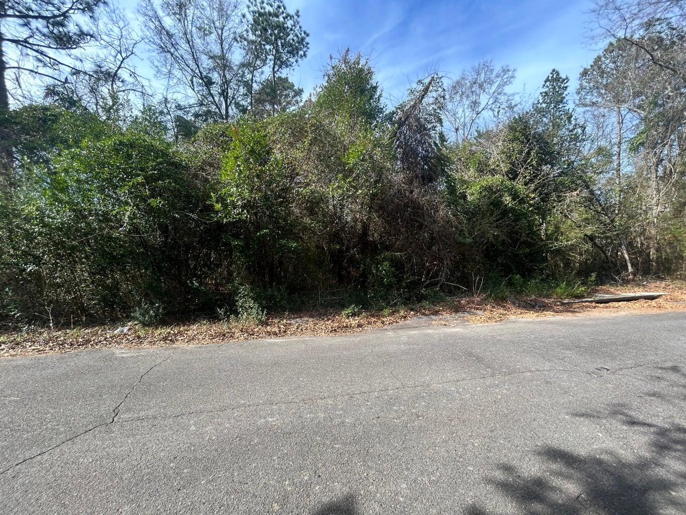 Off Of Franklin Street, Mount Olive, NC, 28365