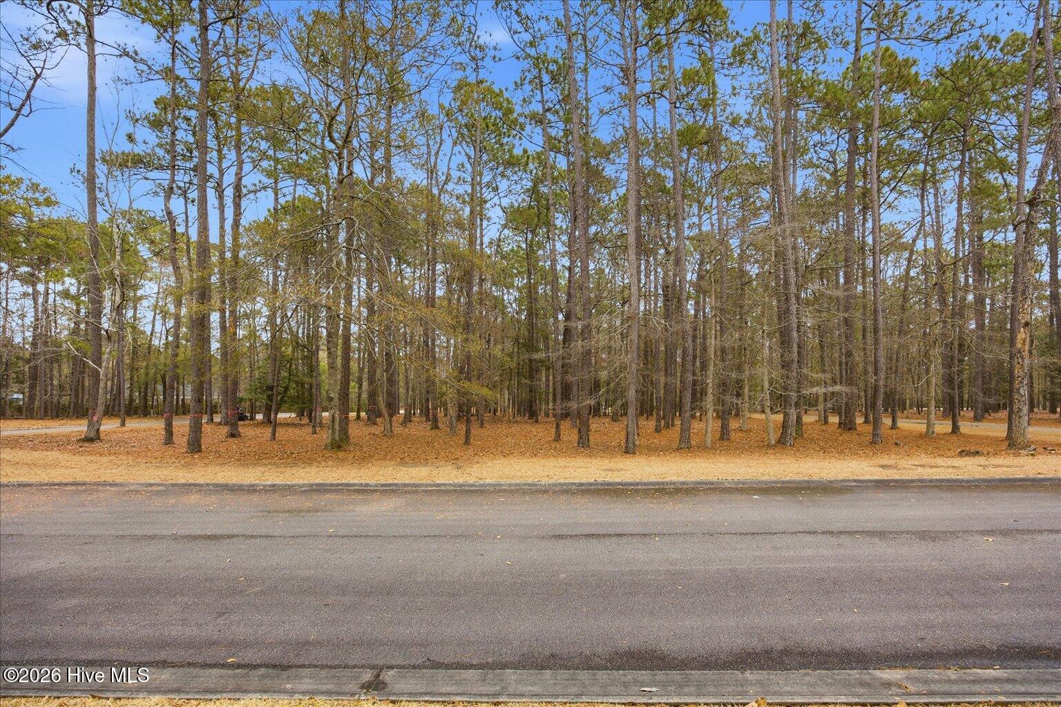 100555112 | Photo 51