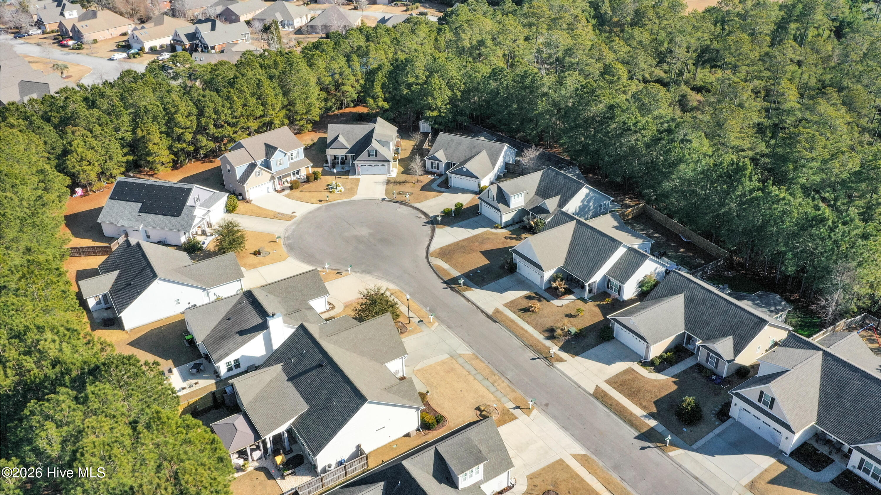 100553723 | Photo 38