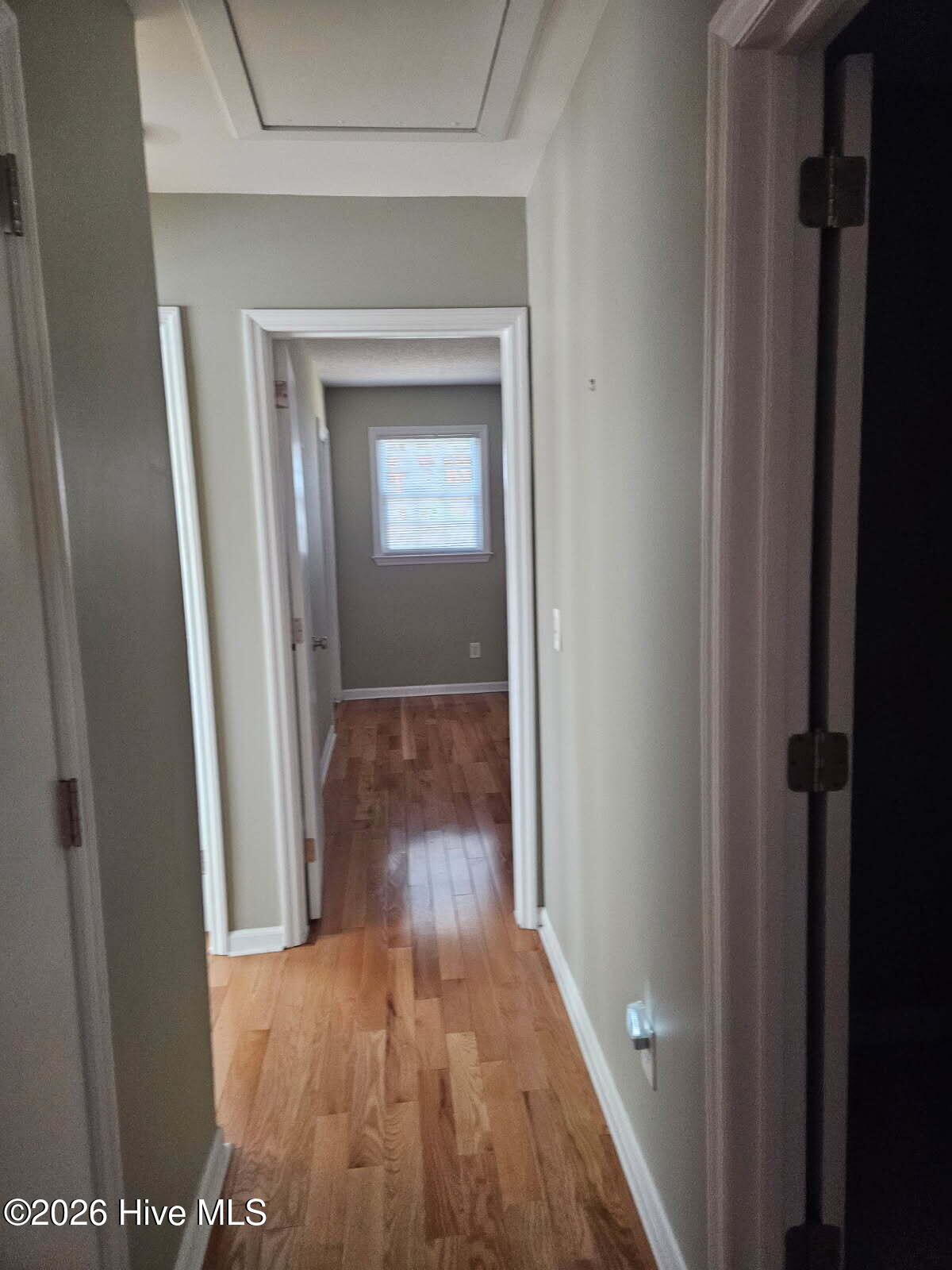 100554436 | Photo 16