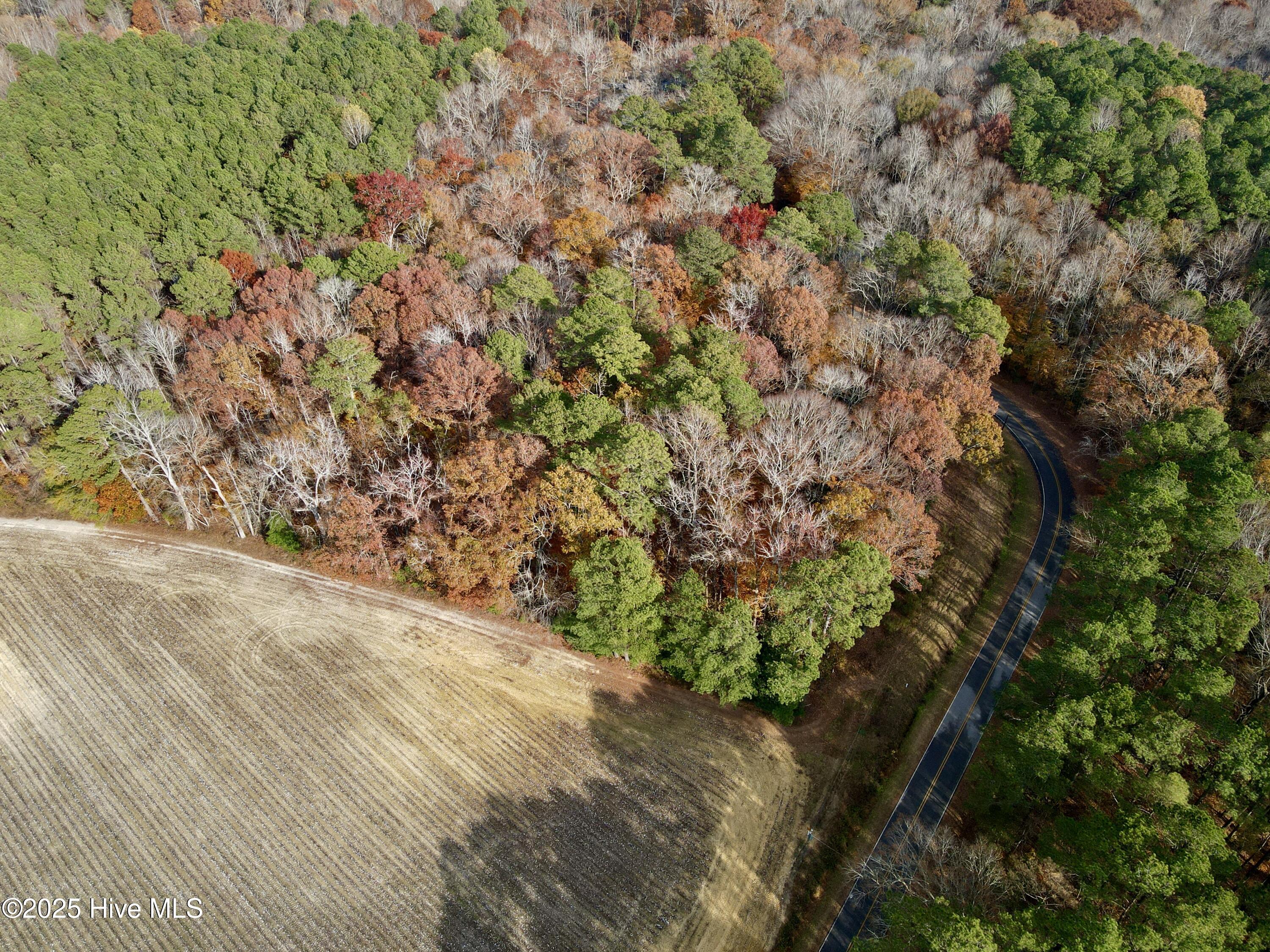 Homes for sale in Williamston, NC | 0 Williams Rd, Williamston, NC 27892 | MLS# 100543369