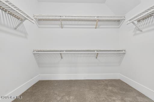 100491701 | Photo 33