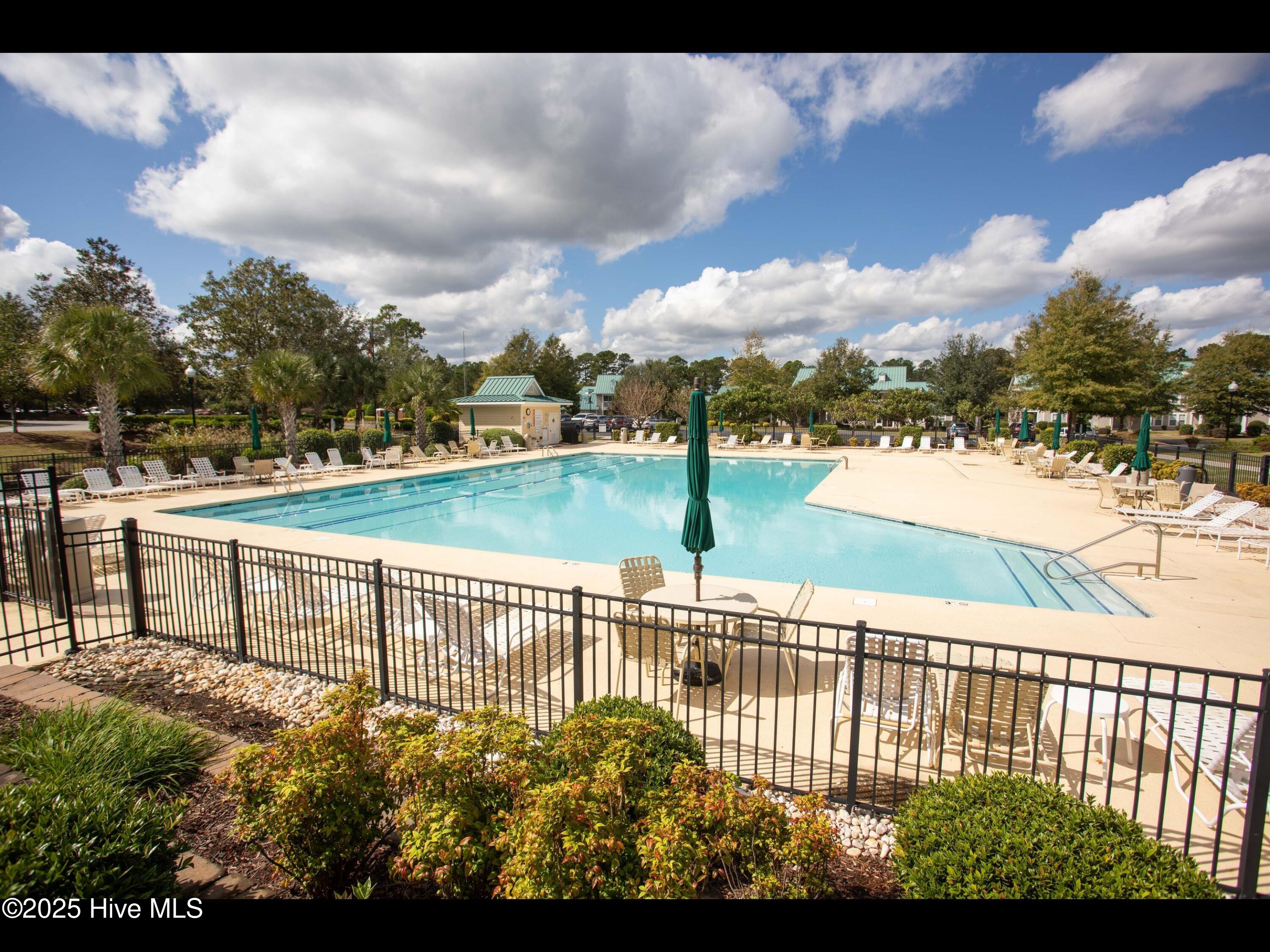 100490321 | Photo 76