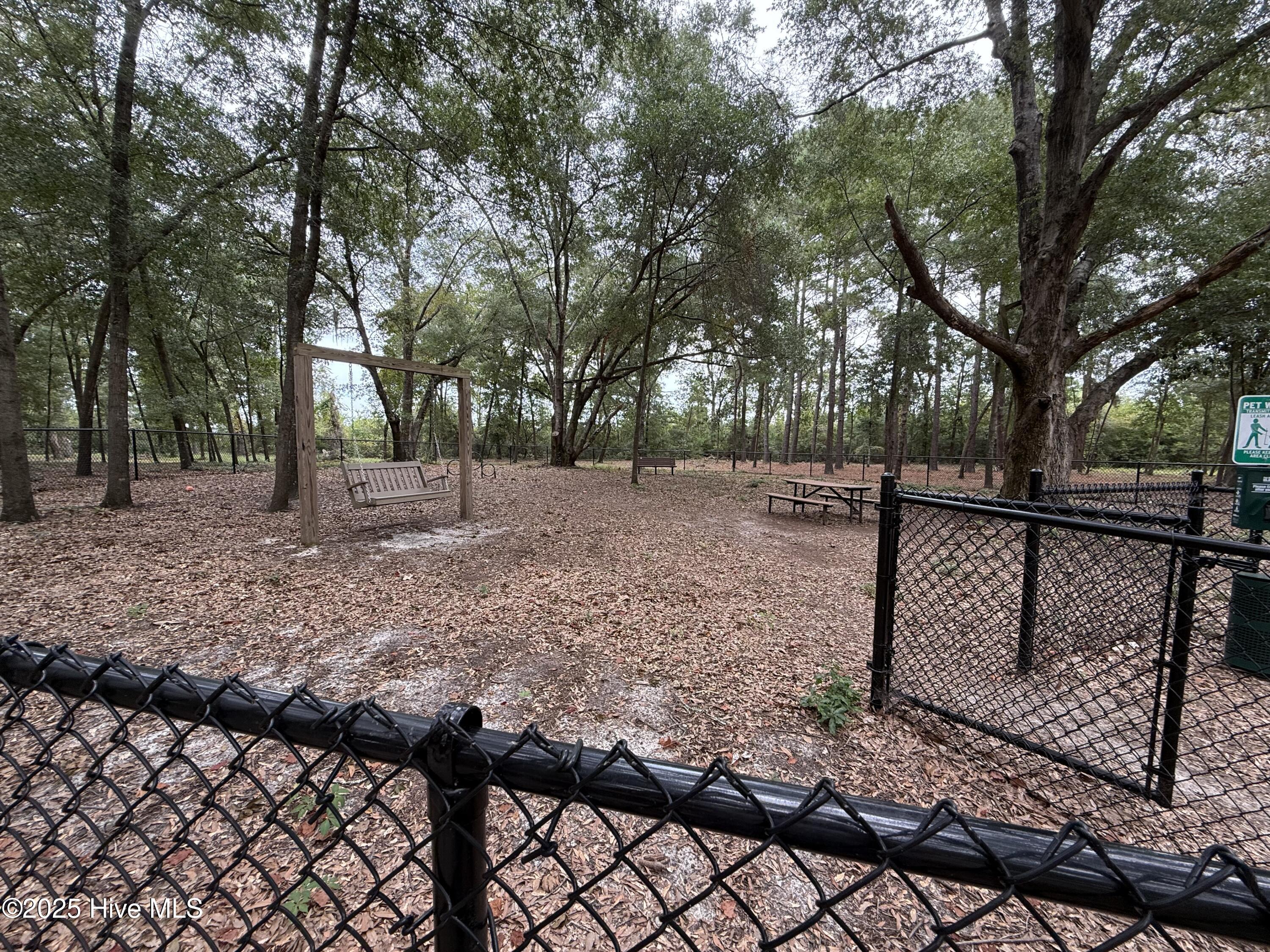 100531935 | Photo 14