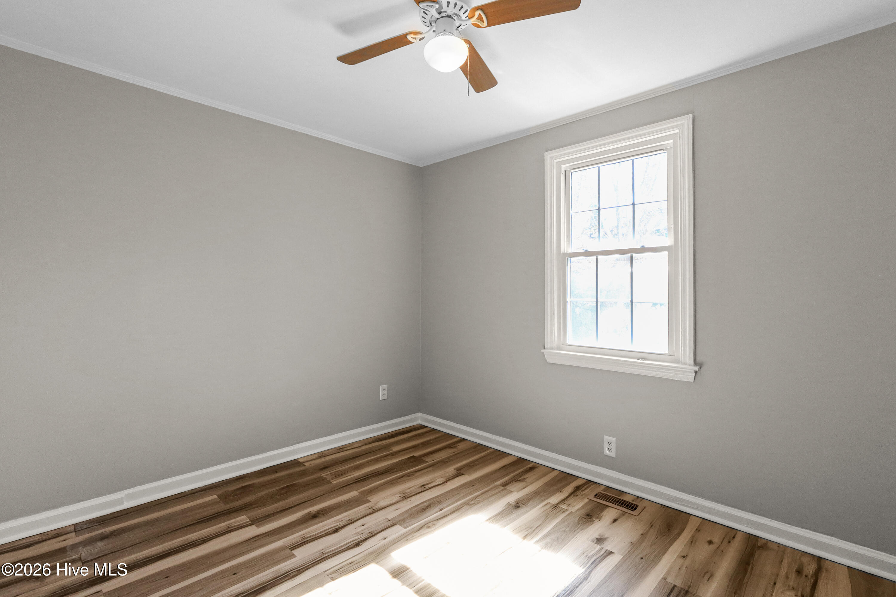 100556489 | Photo 28