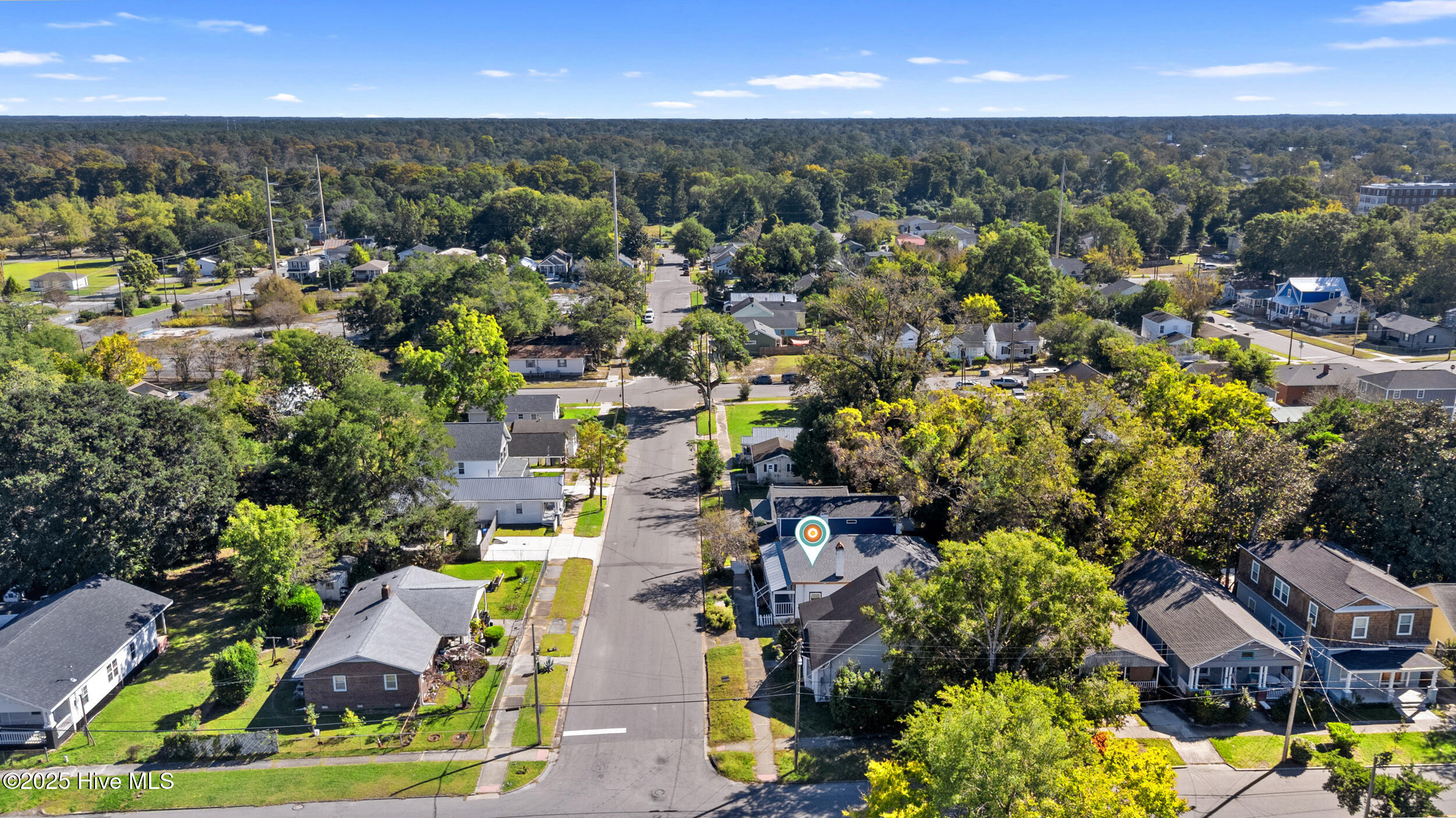 100538840 | Photo 22