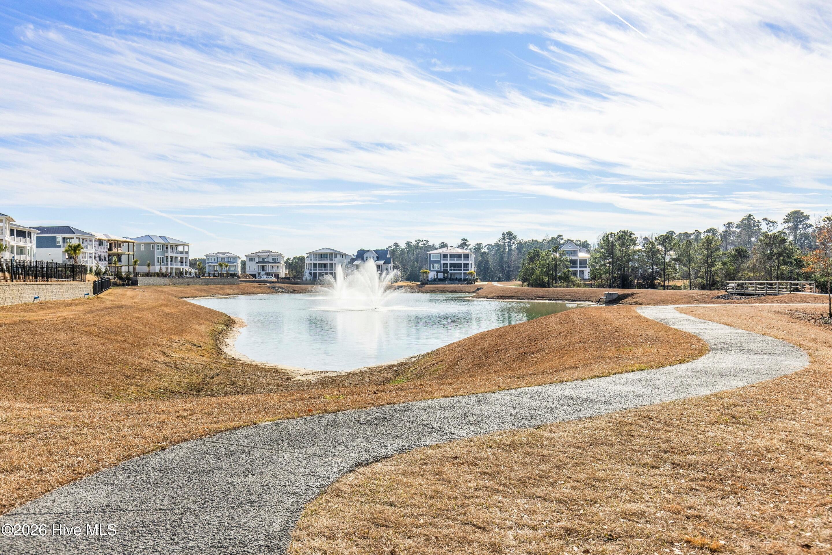 100546830 | Photo 92