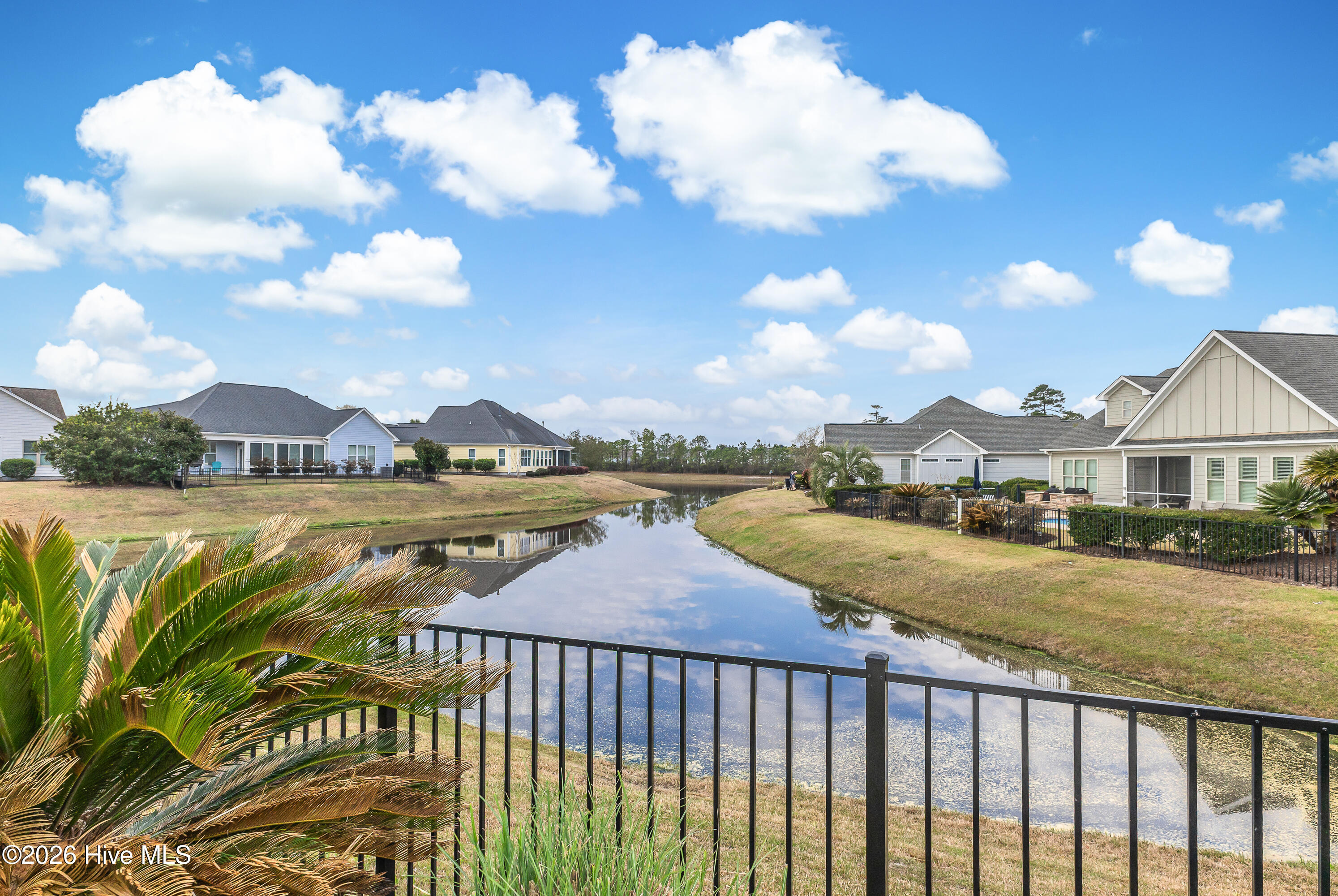 100555586 | Photo 38