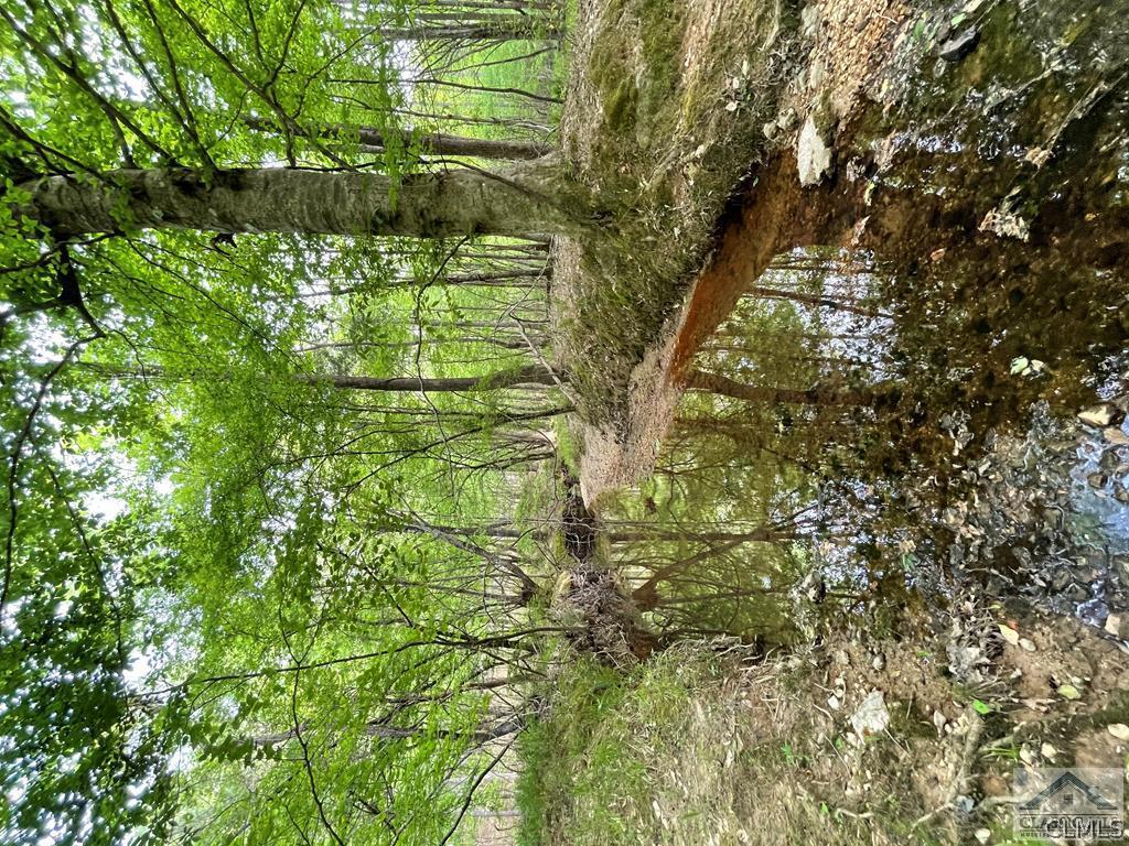 C.E. Norman Road, Lincolnton, GA 30817 Listing Photo  9