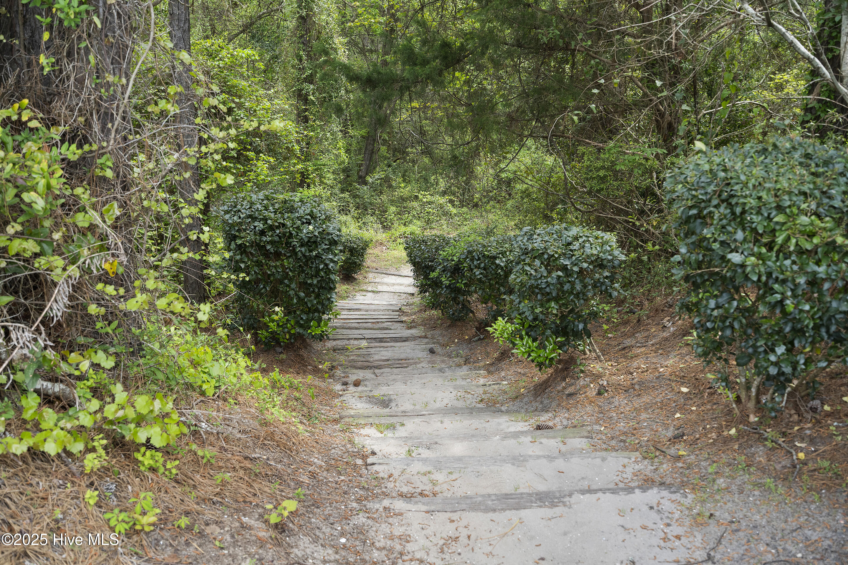 100548000 | Photo 48