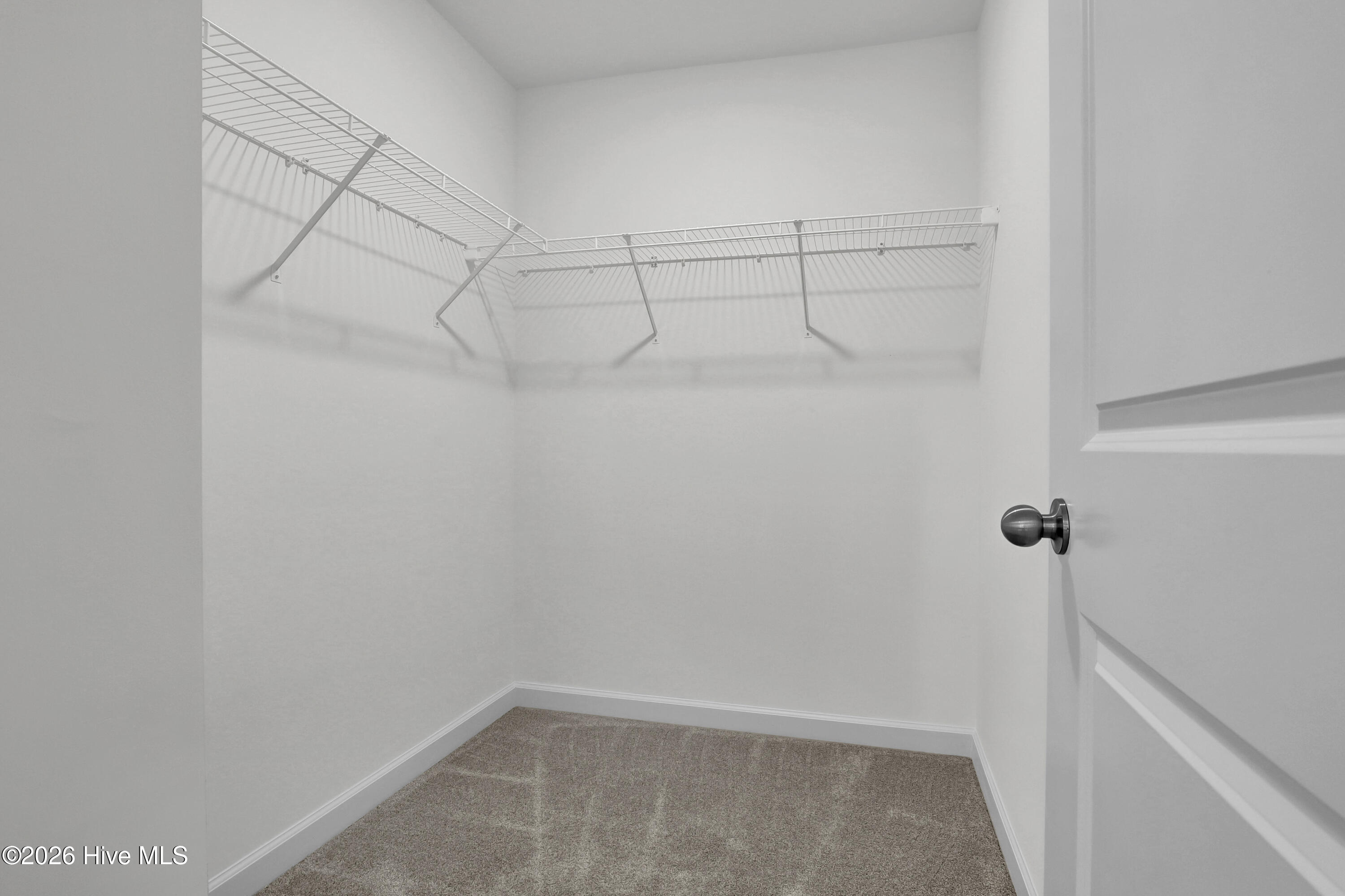 100488784 | Photo 22