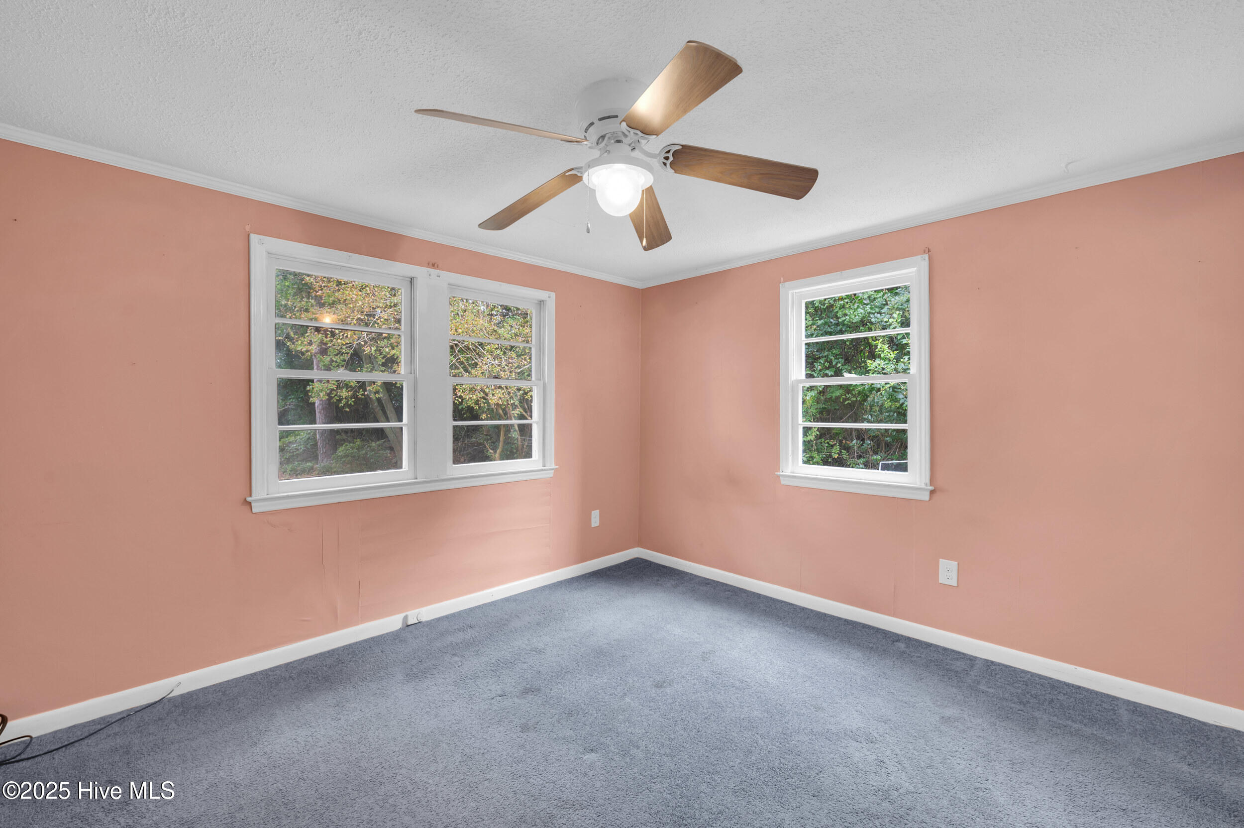 100538812 | Photo 15