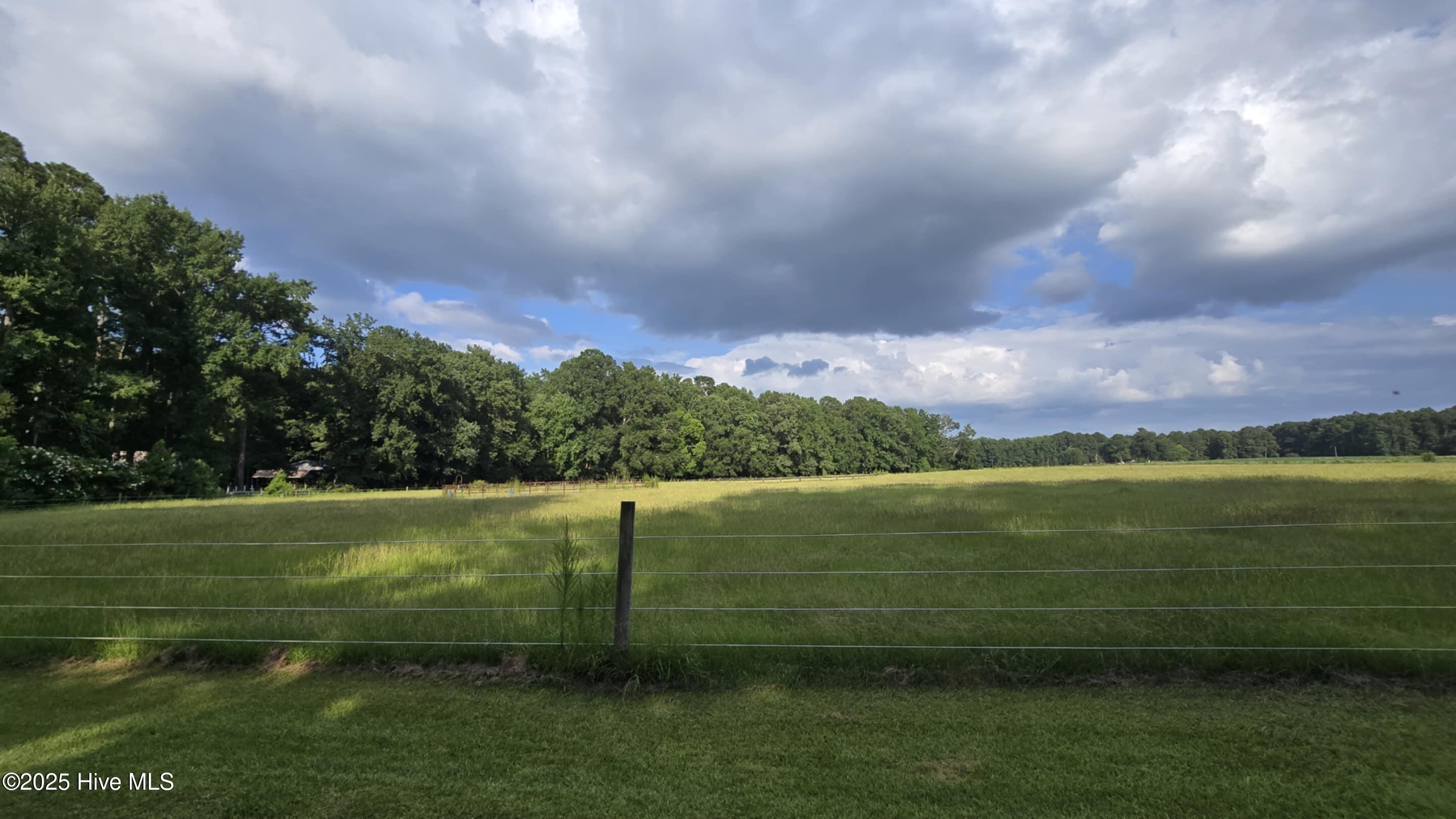 100522277 | Photo 17