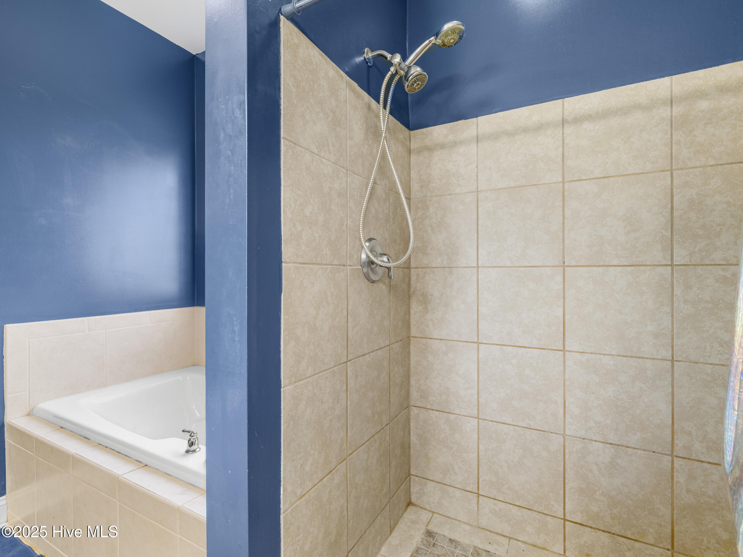 100536146 | Photo 24