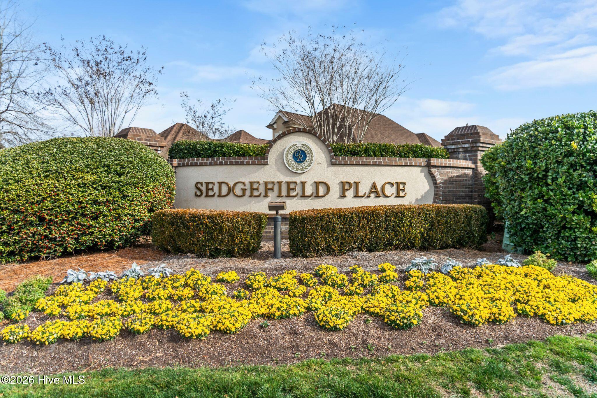 100555866 | Photo 10