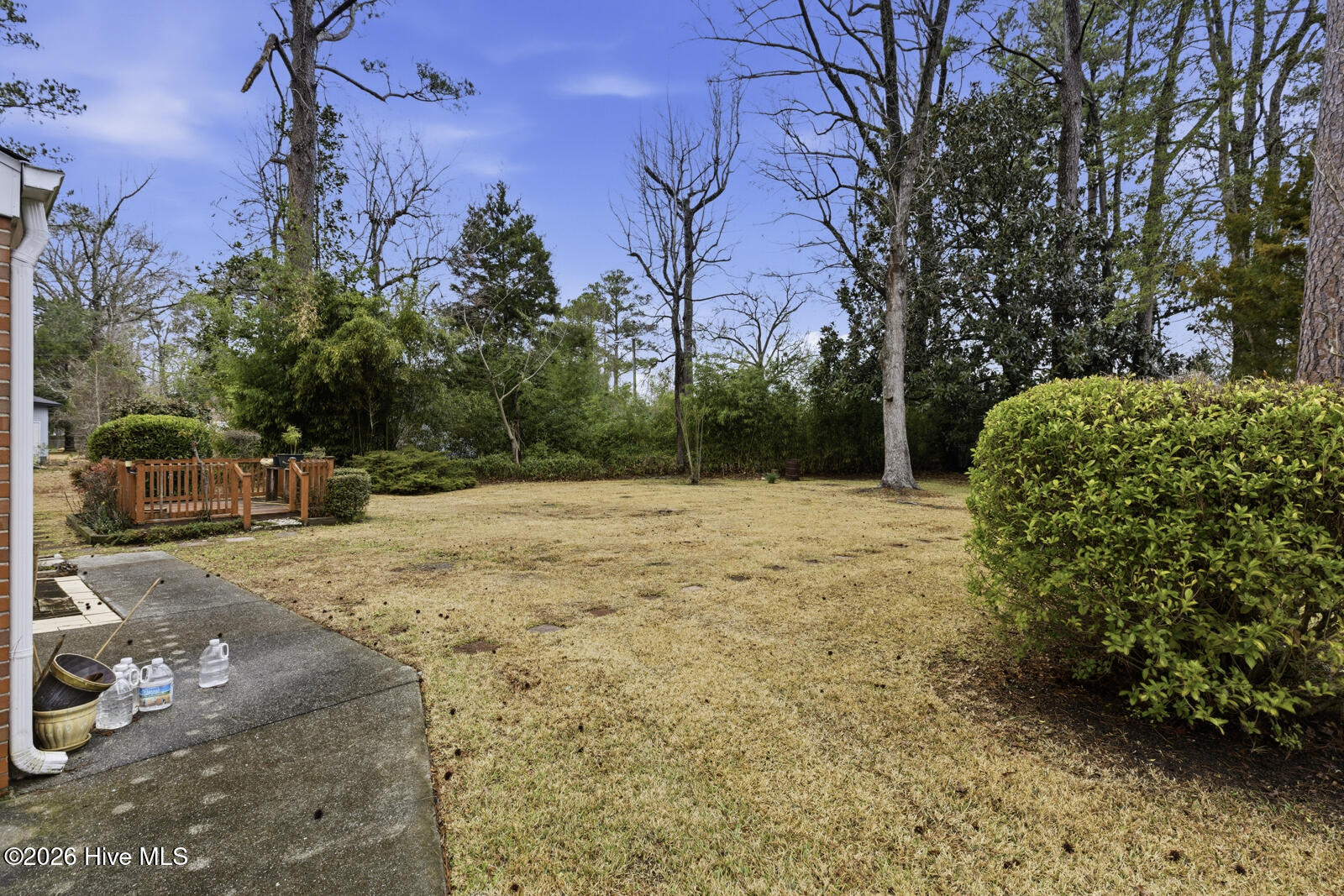 100558769 | Photo 25