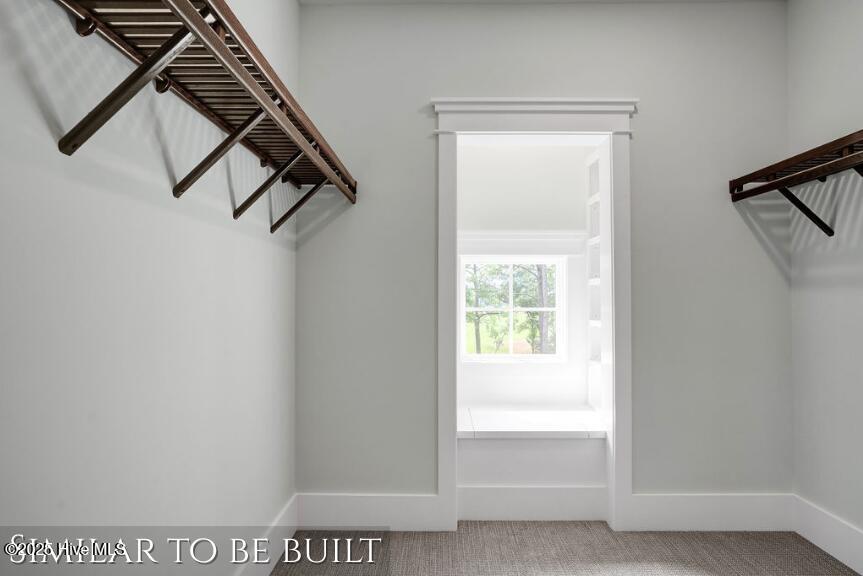 100530157 | Photo 33