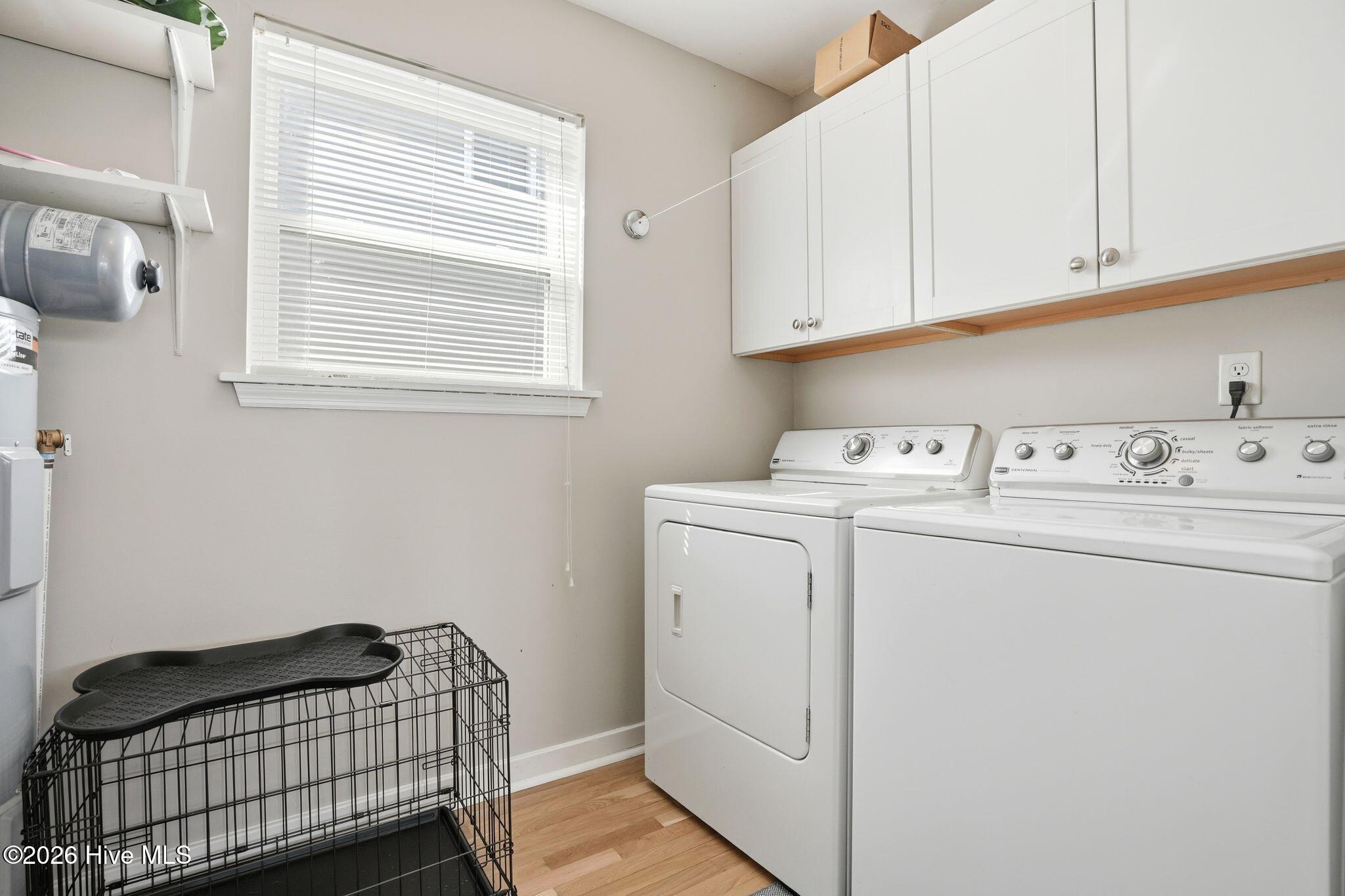 100558561 | Photo 50