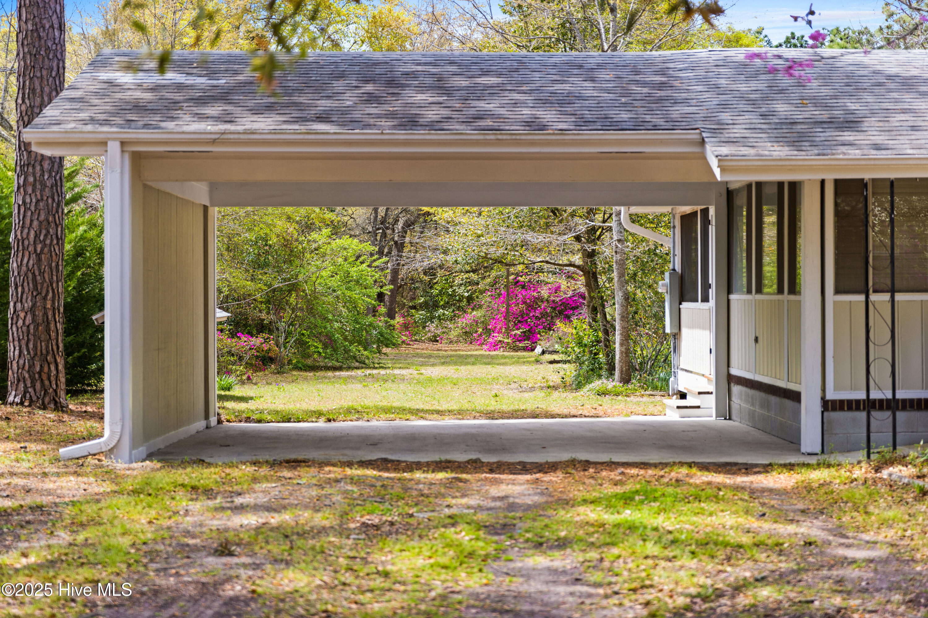 100548409 | Photo 10